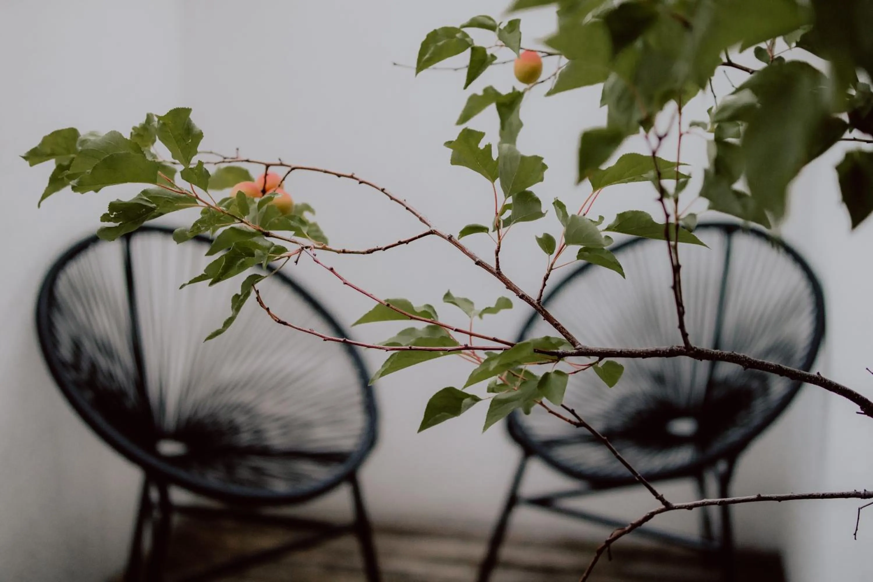 Spa and wellness centre/facilities in Berg-Leben