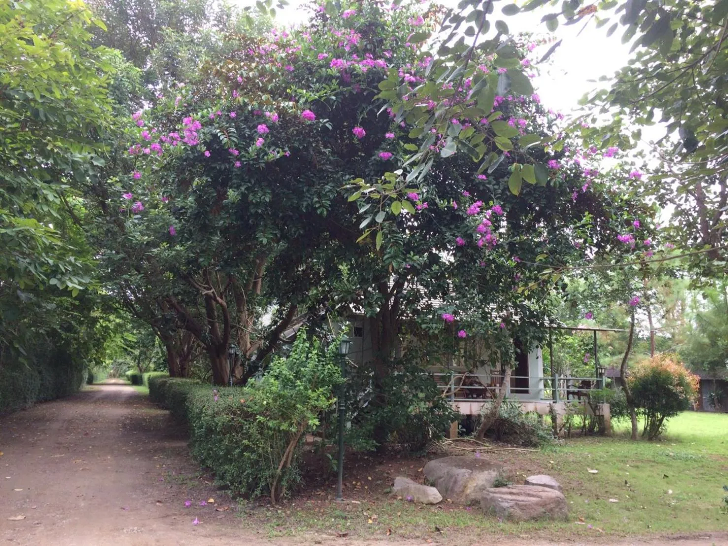 Property building in Pai Flora Resort