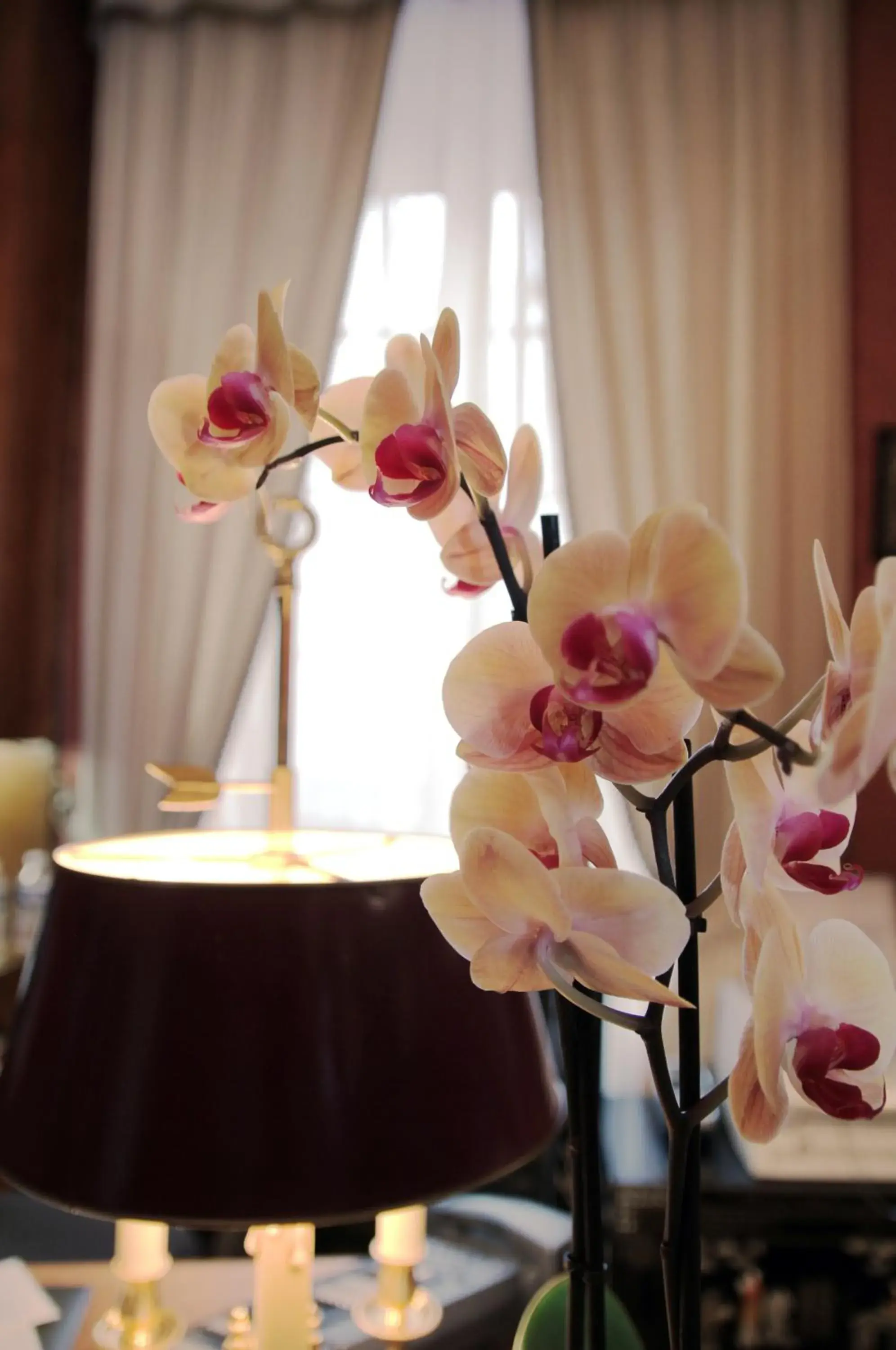 Double Room in Logis Hôtel Beau Site Double Room in Logis Hôtel Beau Site