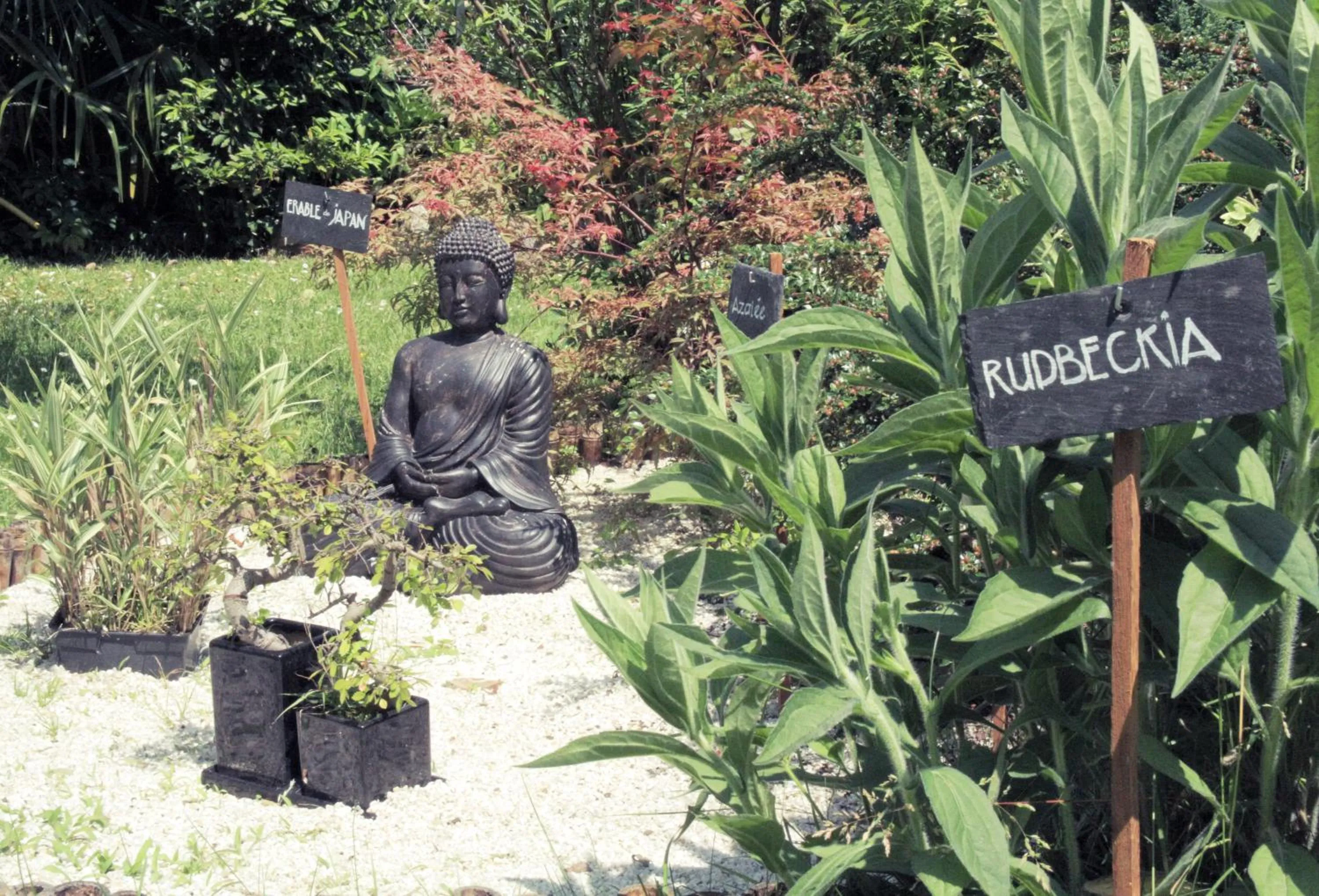 Other in Logis Hôtel Beau Site