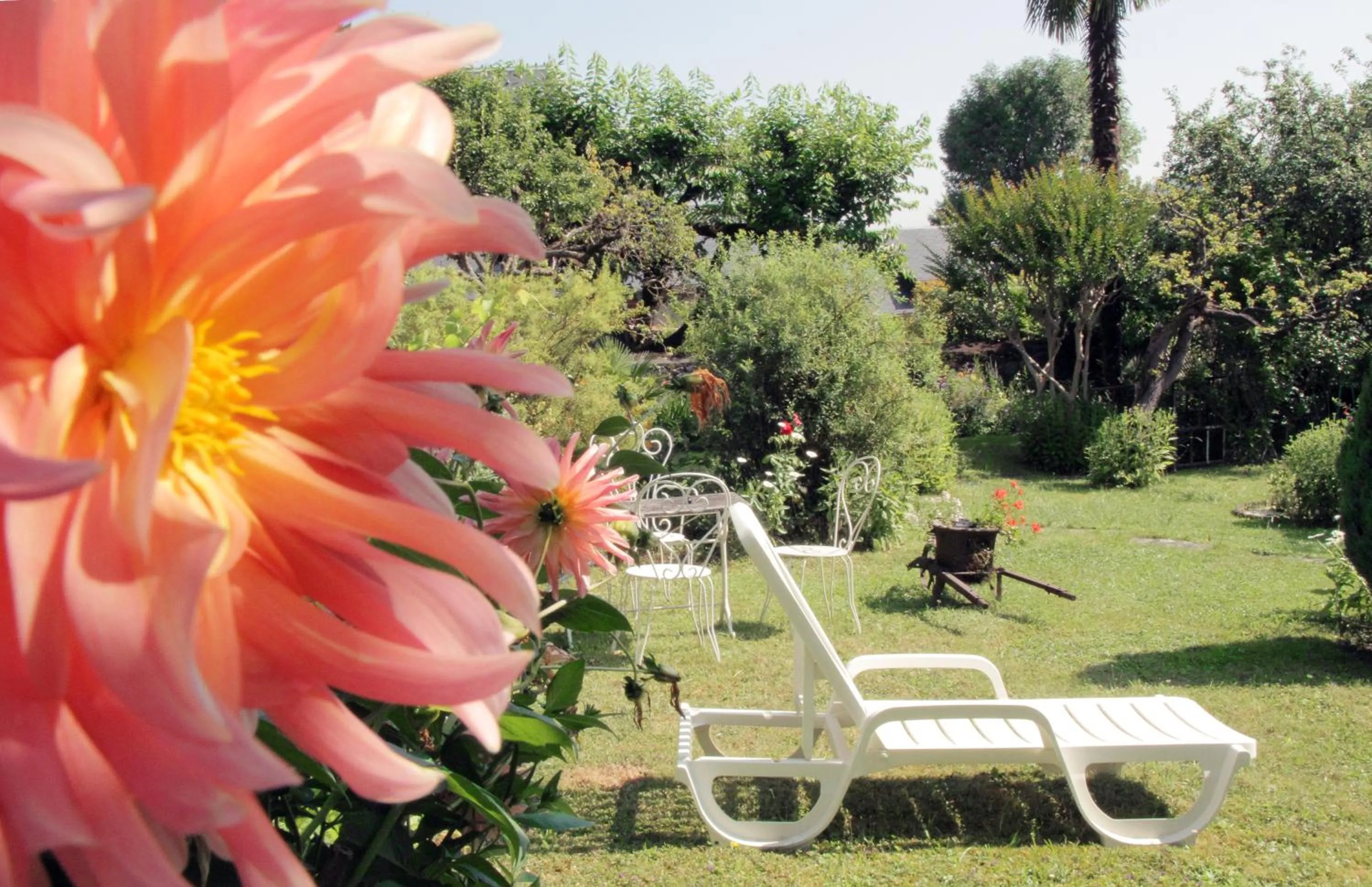 Garden in Logis Hôtel Beau Site