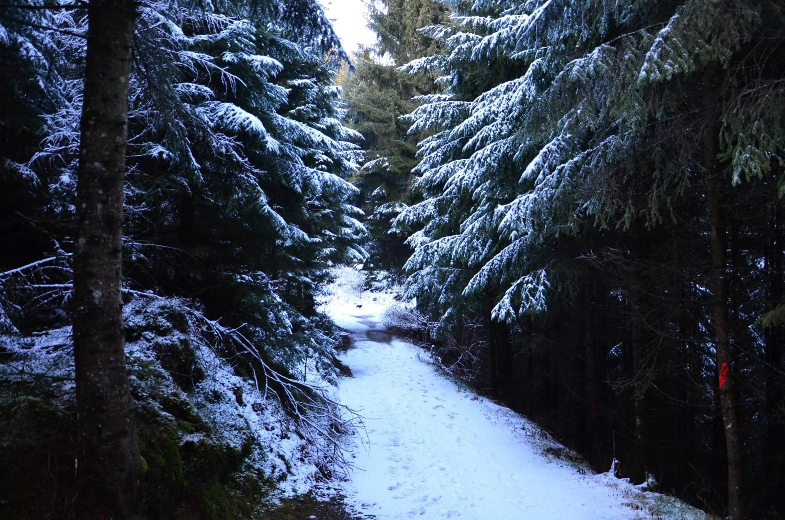 Winter in Hotel Wieser