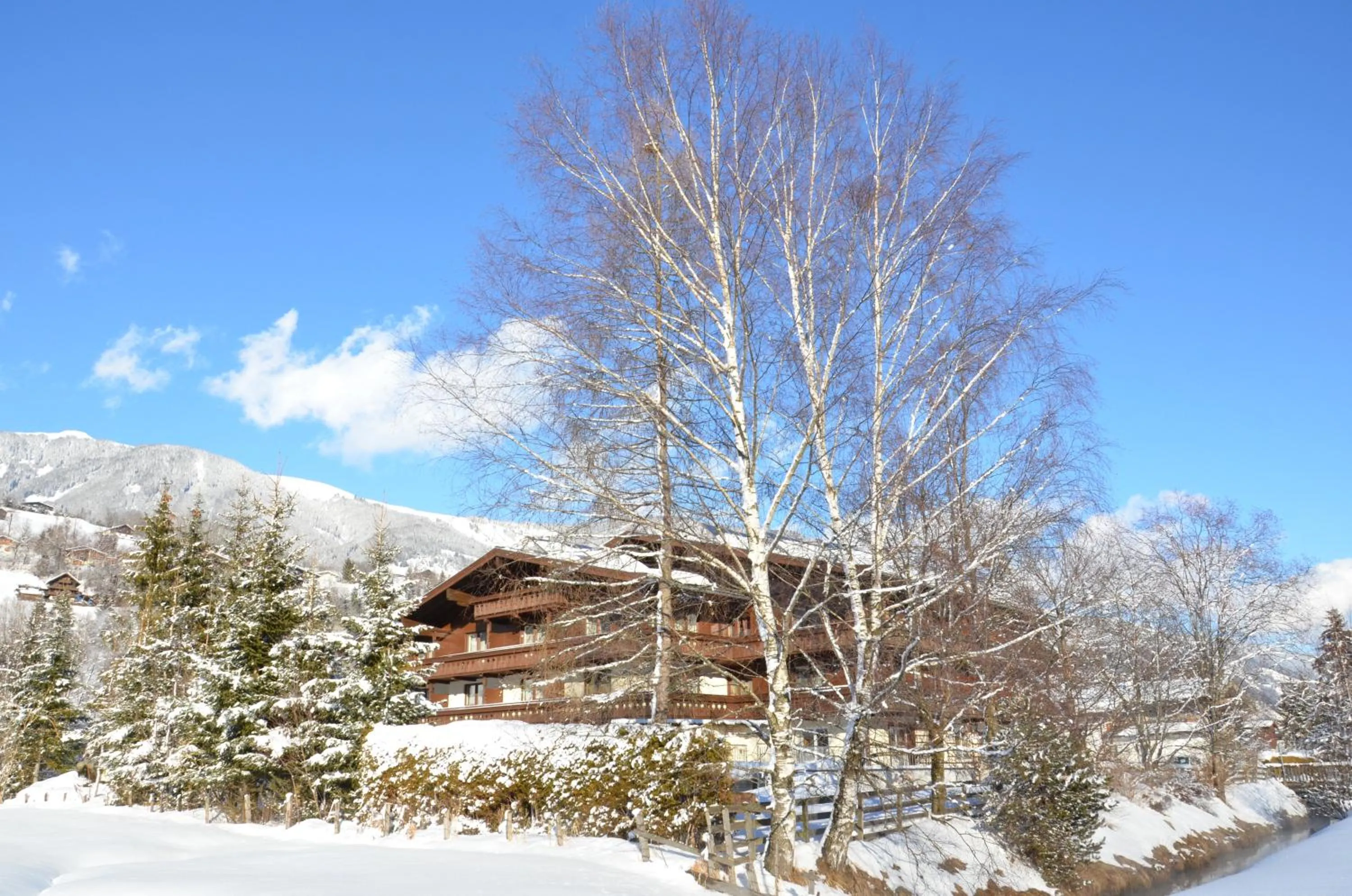 Facade/entrance in Hotel Wieser