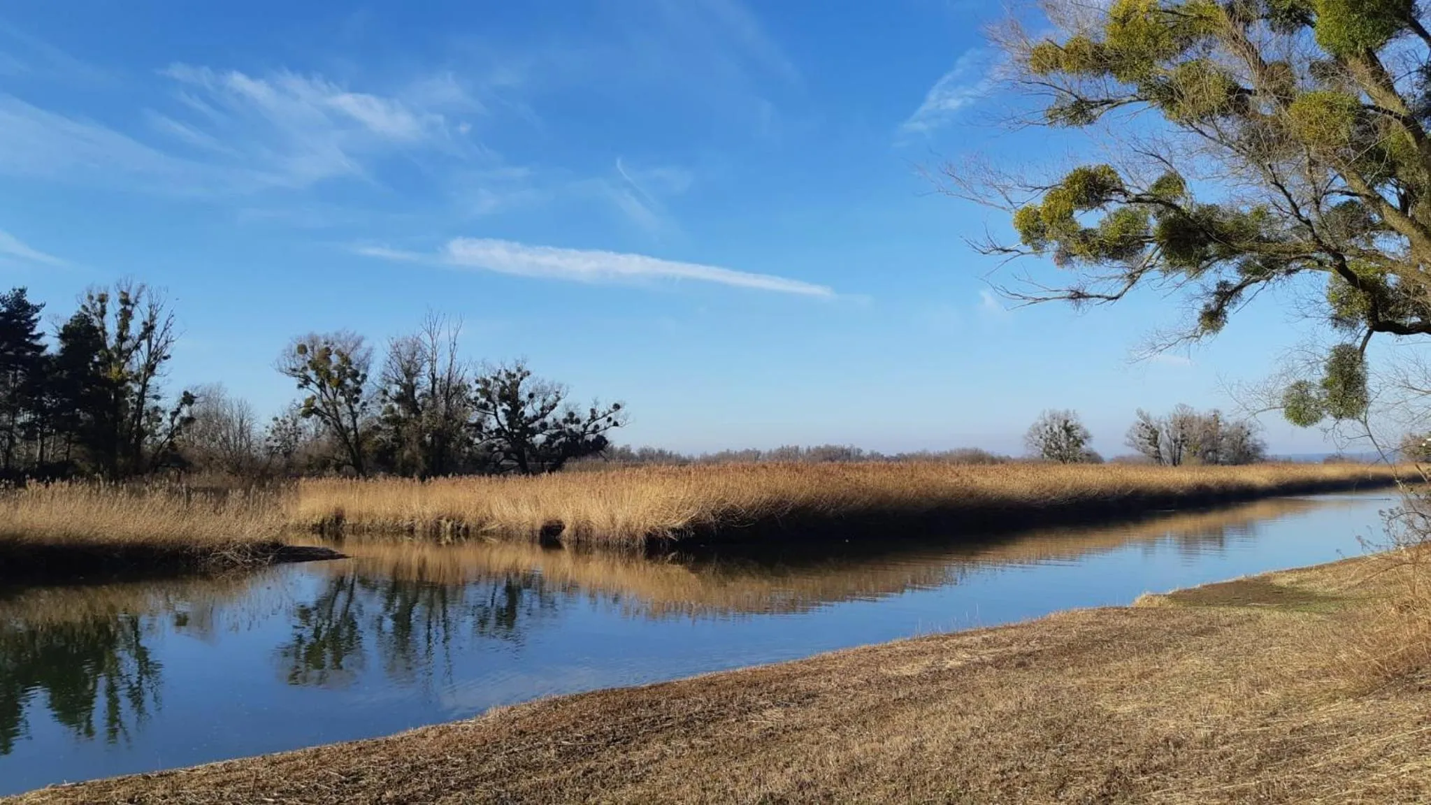 Natural landscape in Hotel am See