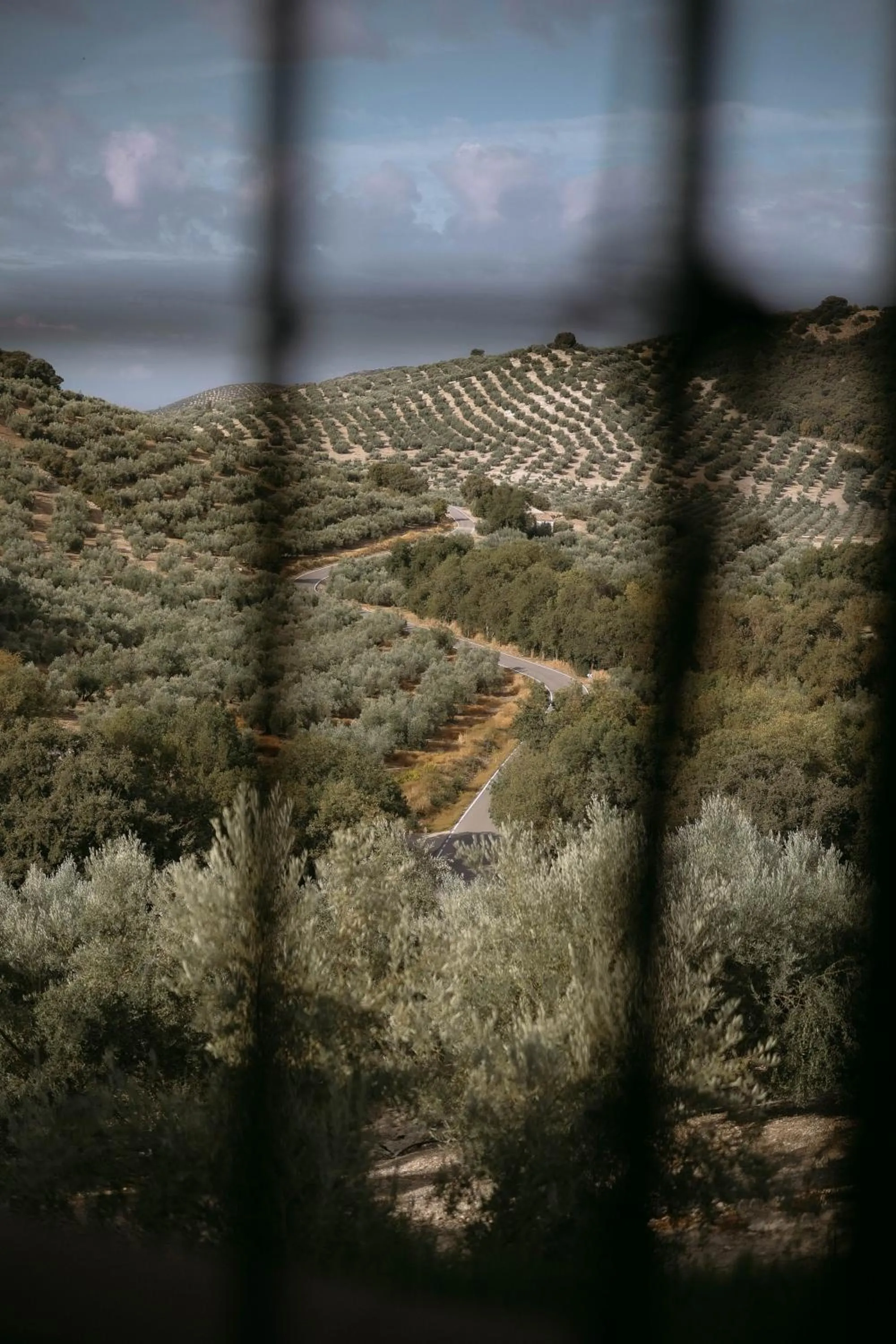 Garden view in Cortijo La Presa