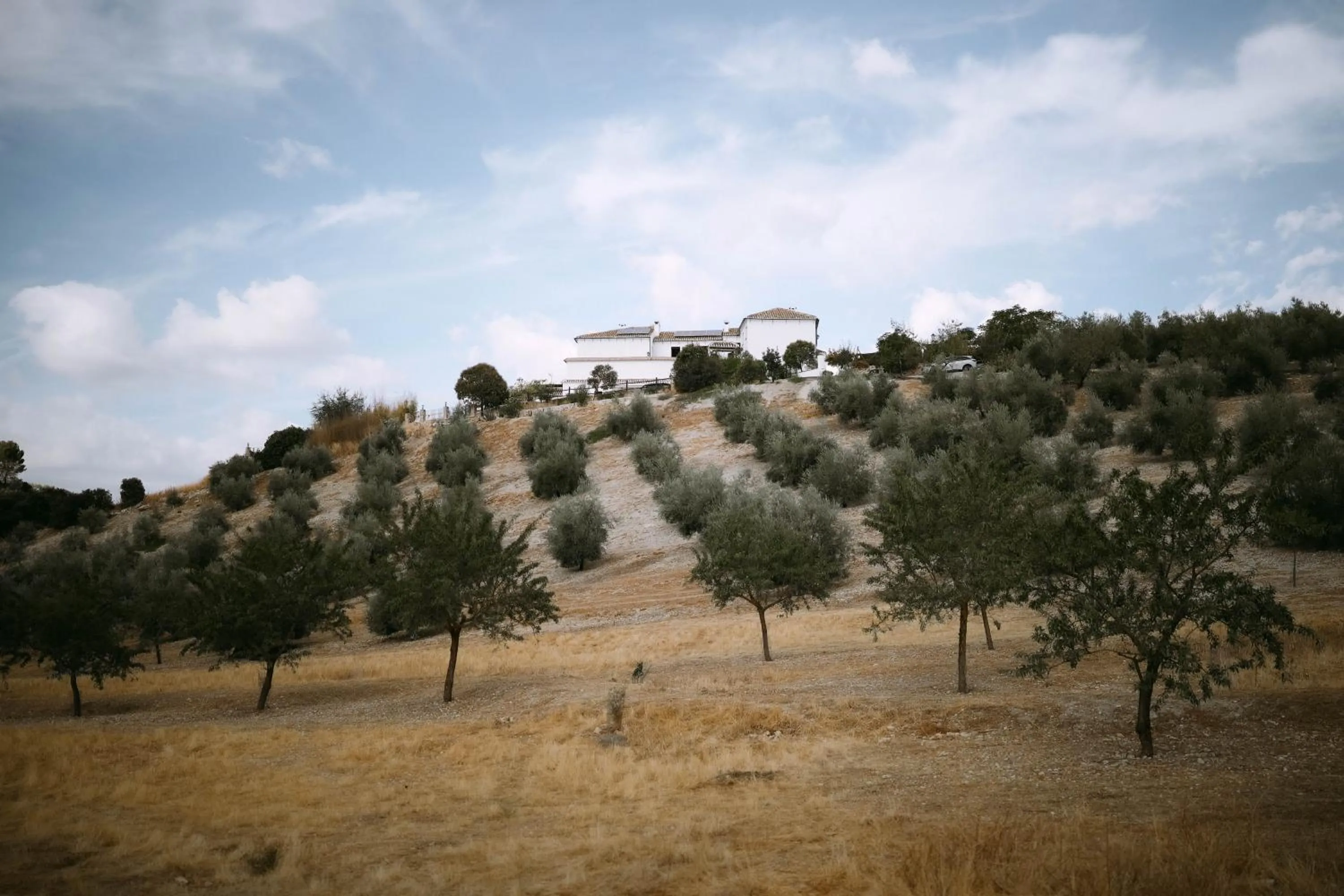 Property building in Cortijo La Presa