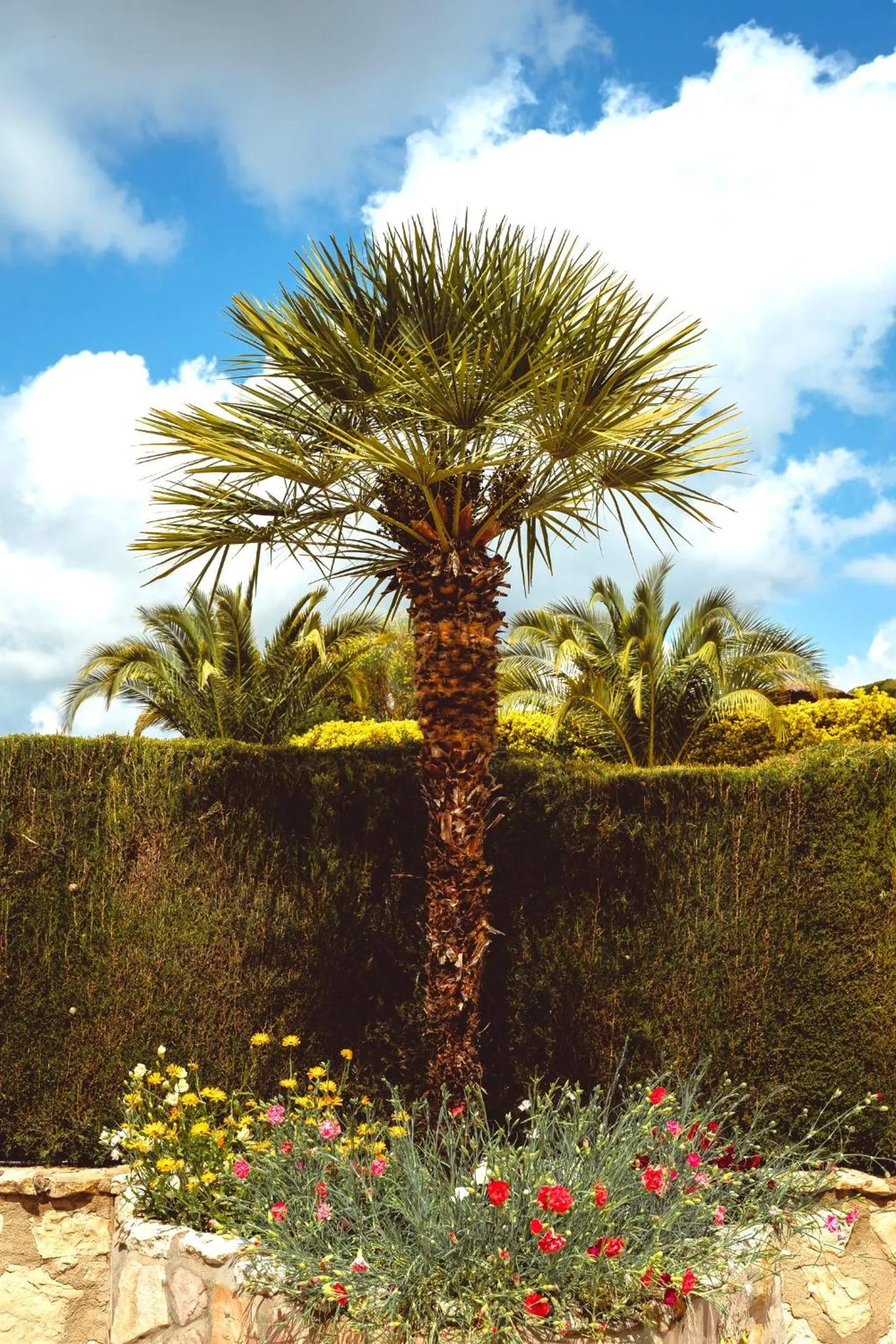 Garden in Cortijo La Presa
