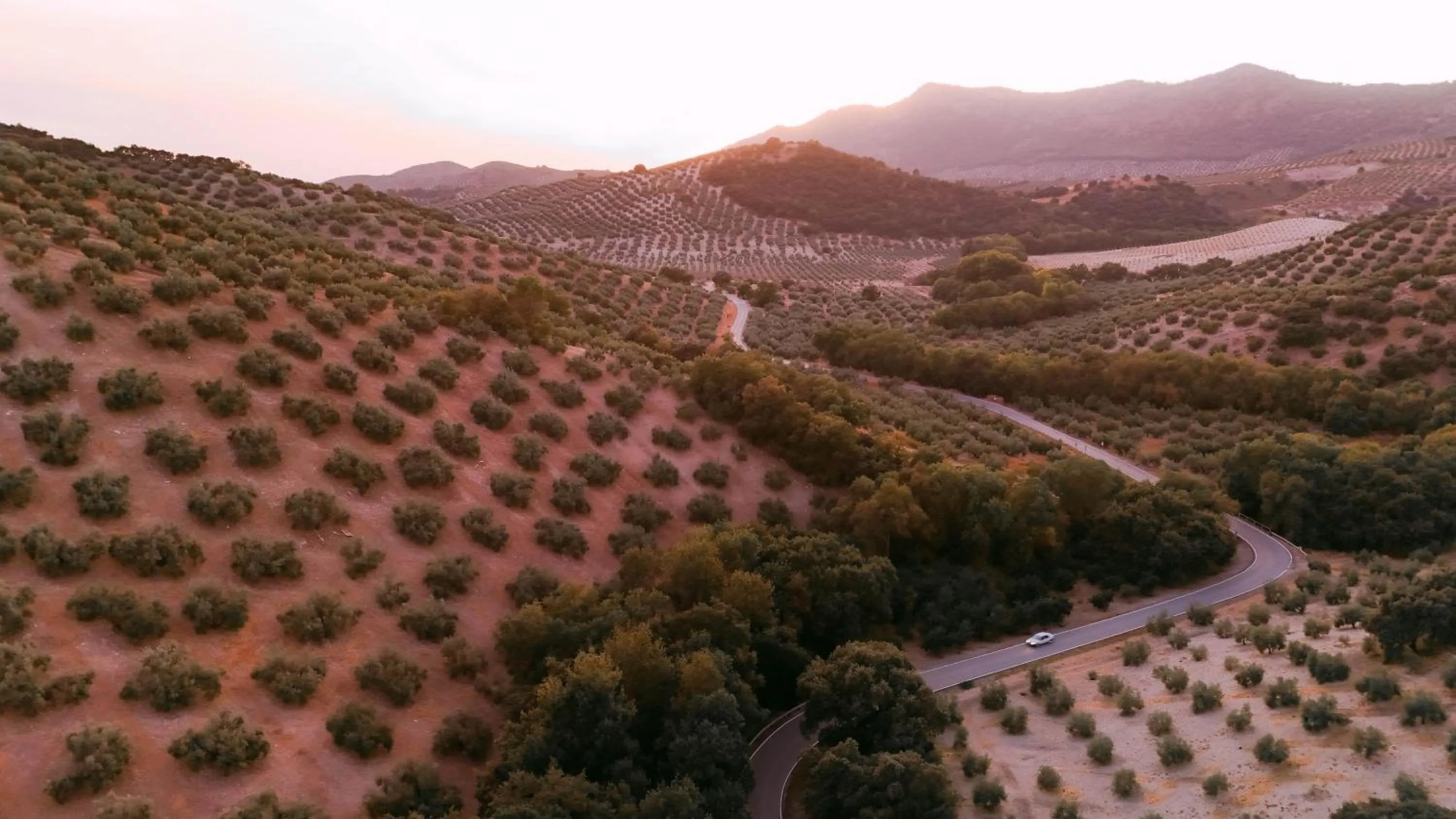 Garden view in Cortijo La Presa