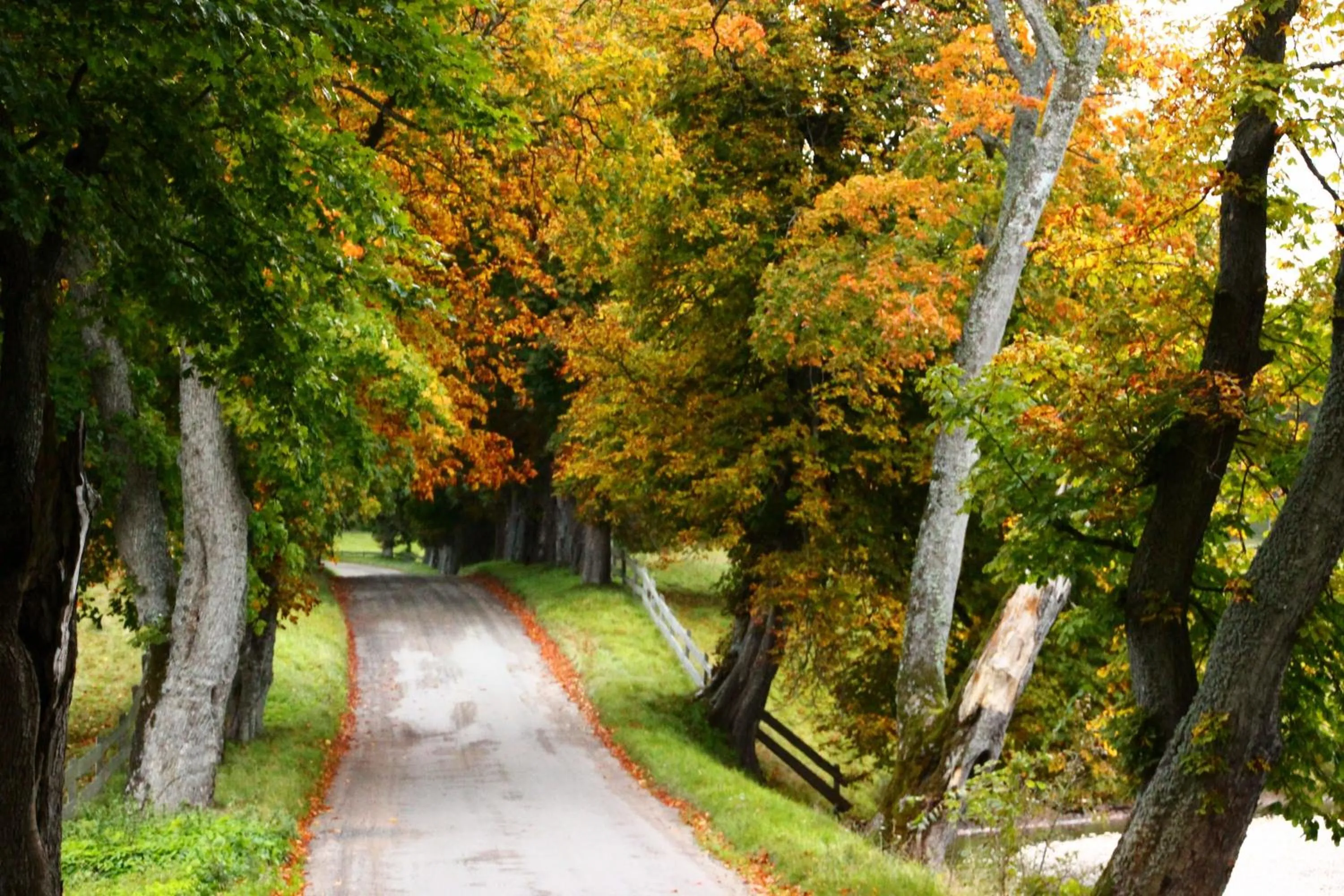 Area and facilities in Kuskahusen vandrarhem