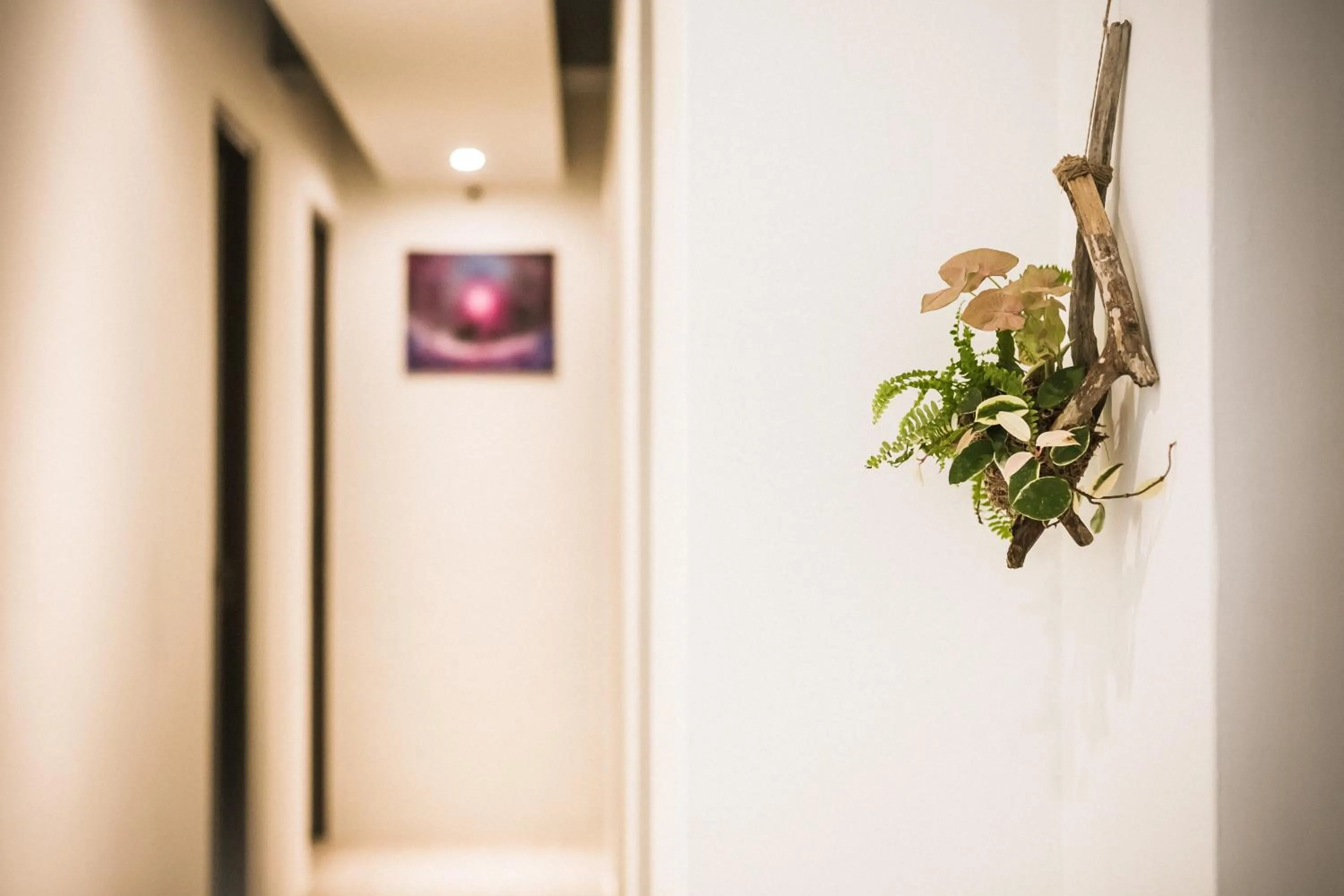 Property building in Tiin Tinn - Rivershore B&B