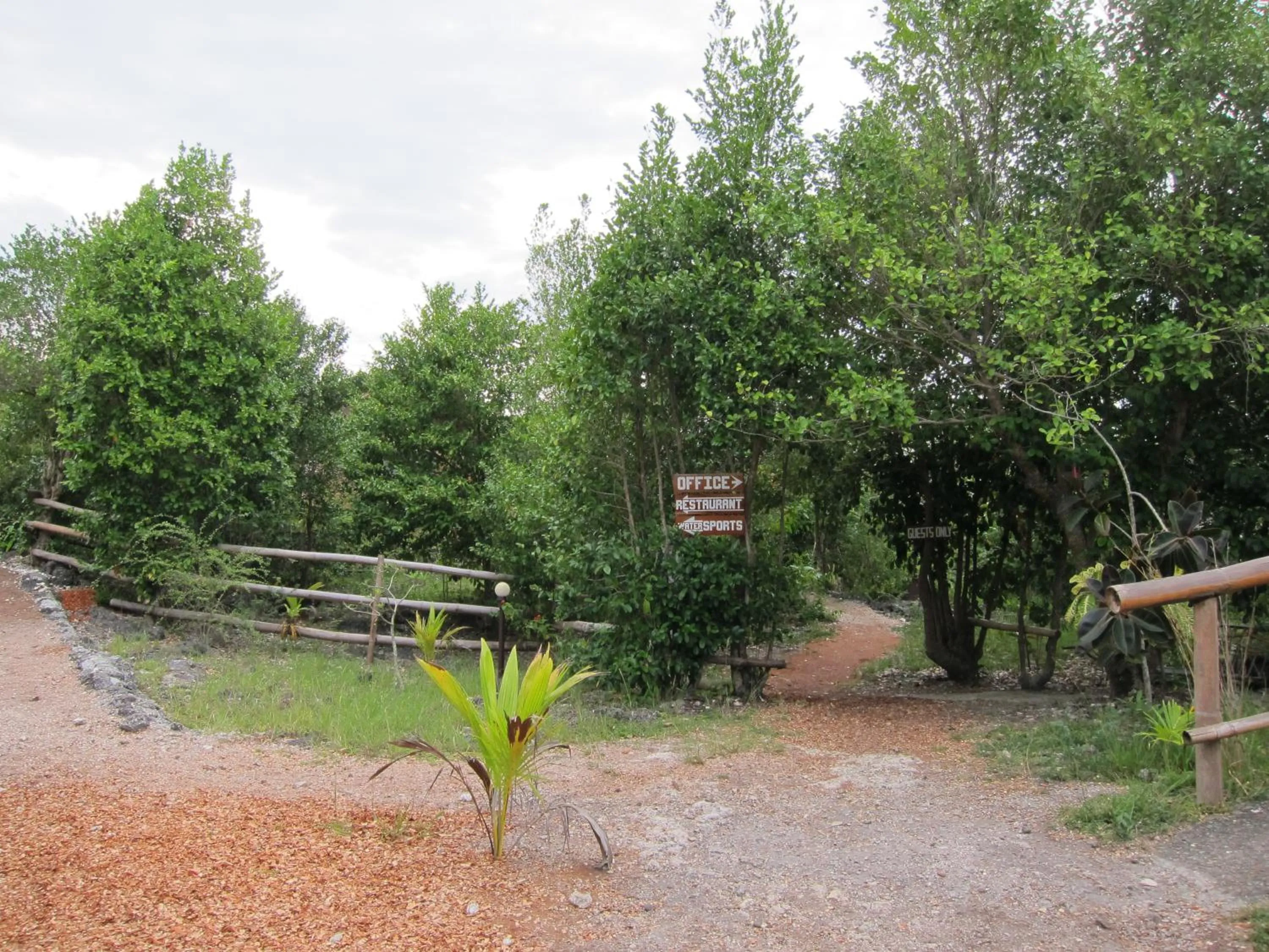 Day in Eskapo Verde Lodge Moalboal