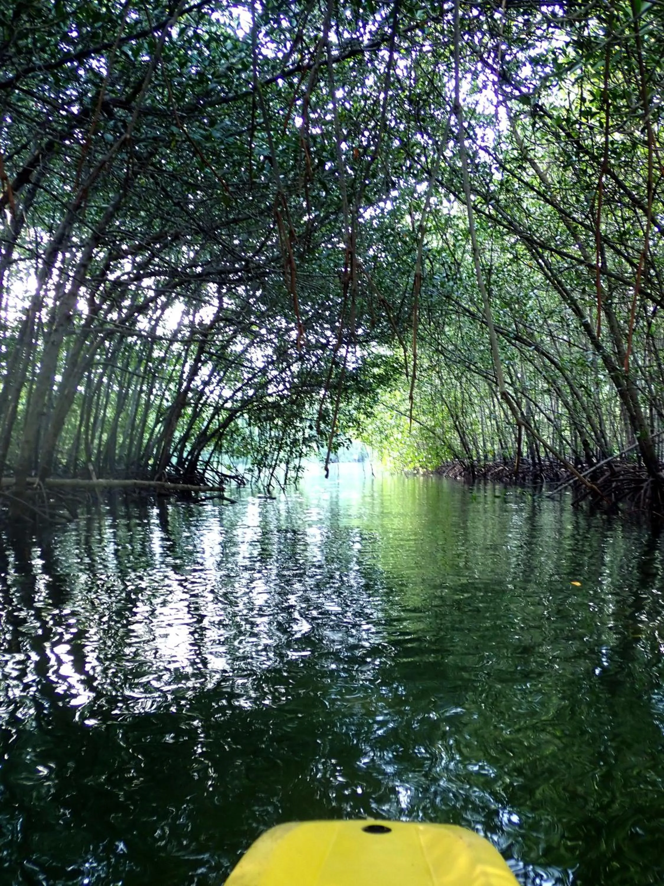Day in Eskapo Verde Lodge Moalboal