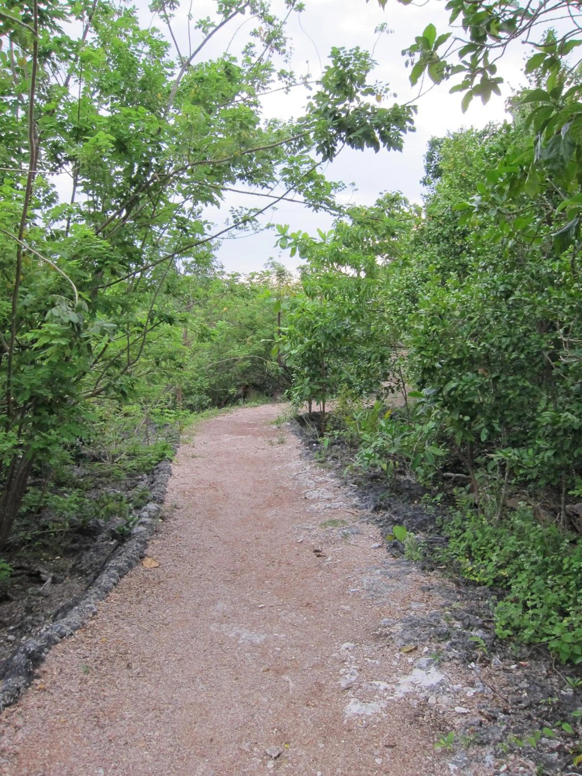 Day in Eskapo Verde Lodge Moalboal