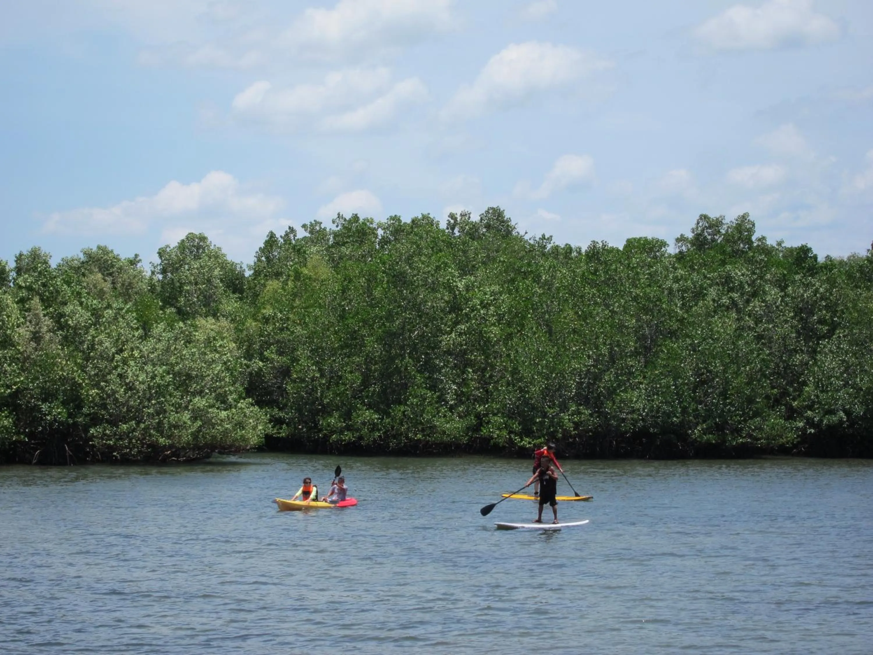 Natural landscape in Eskapo Verde Lodge Moalboal