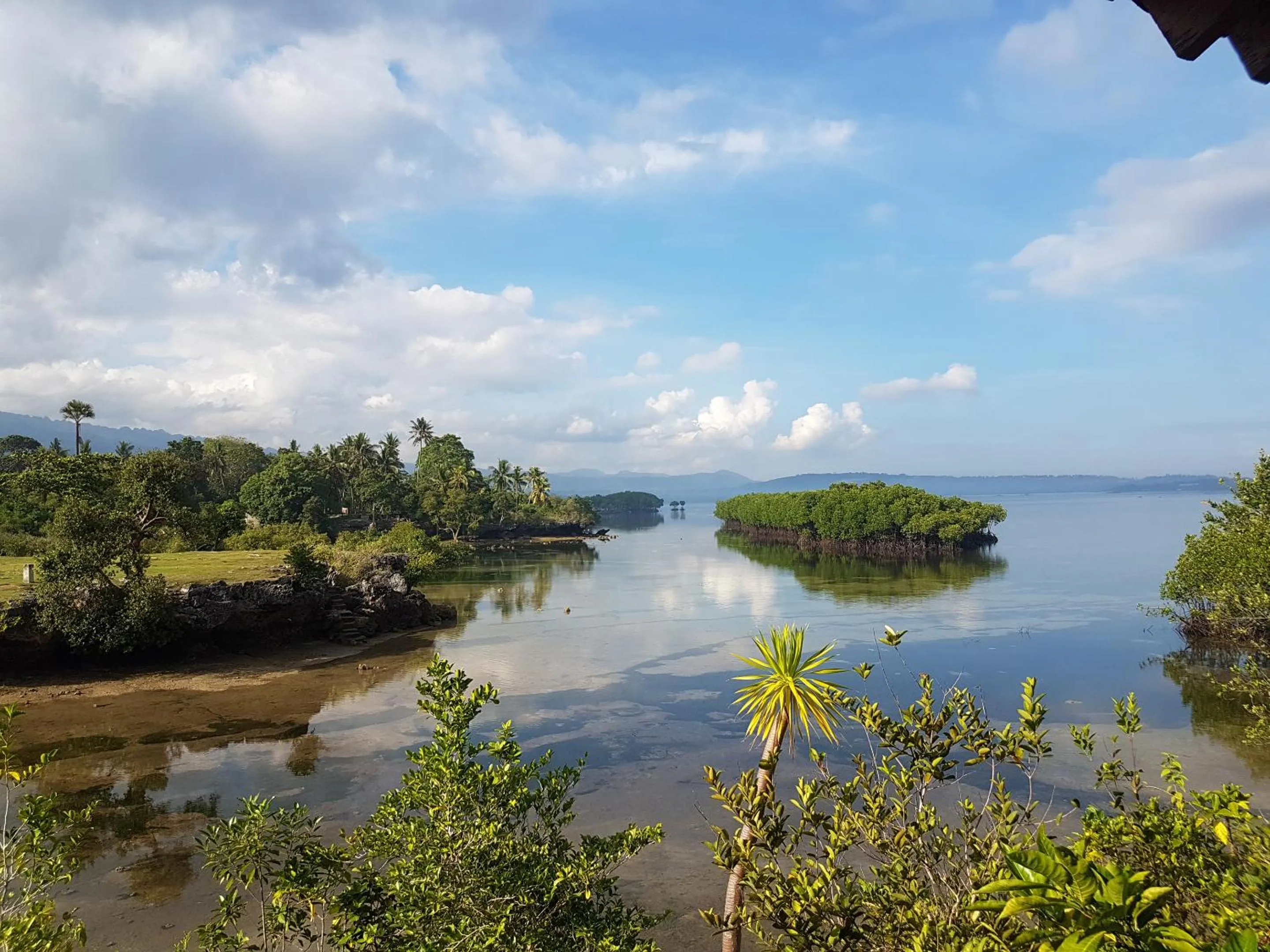 Natural landscape in Eskapo Verde Lodge Moalboal