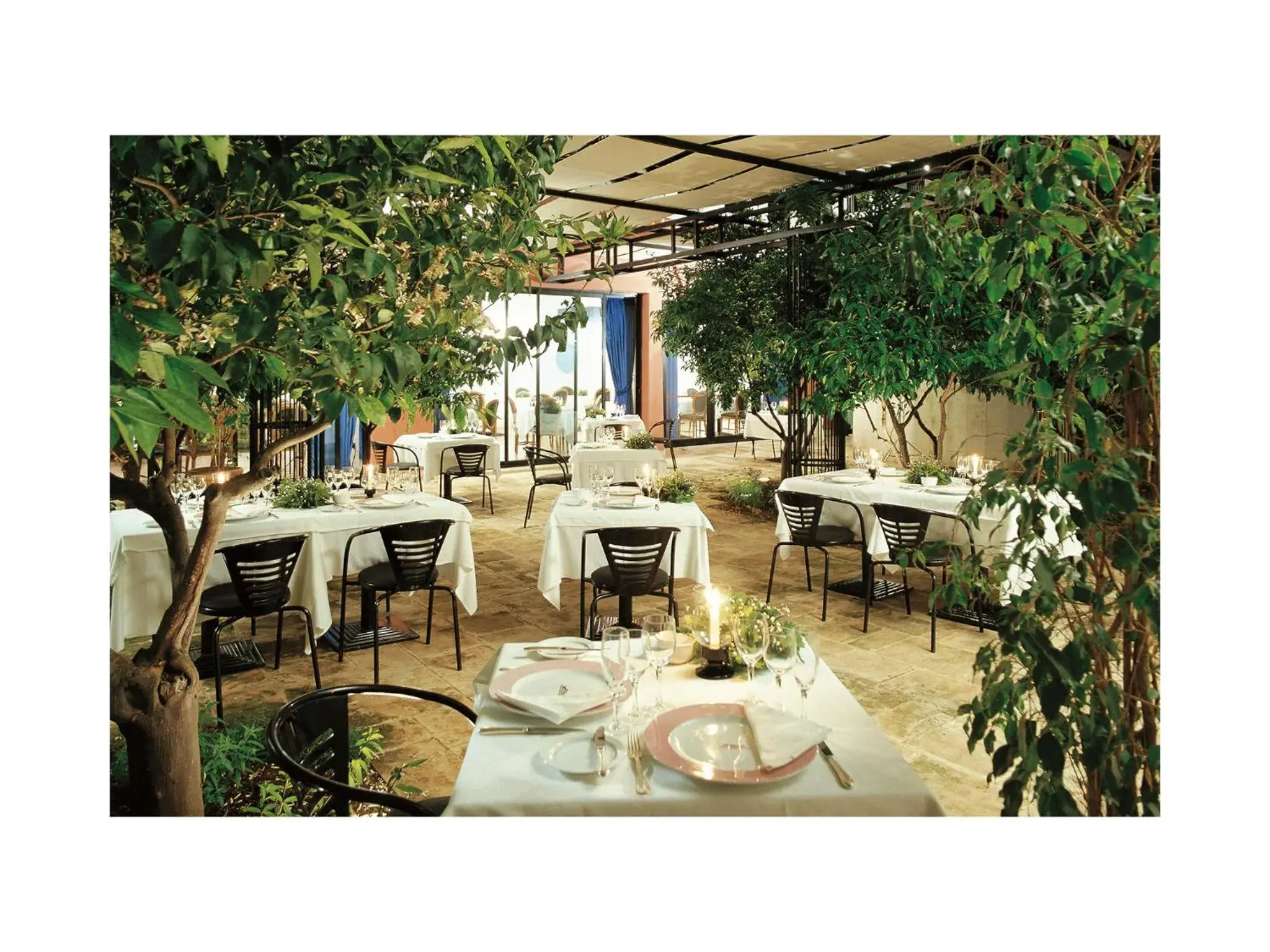 Restaurant/places to eat in Grand Hotel Masseria Santa Lucia Restaurant/places to eat in Grand Hotel Masseria Santa Lucia