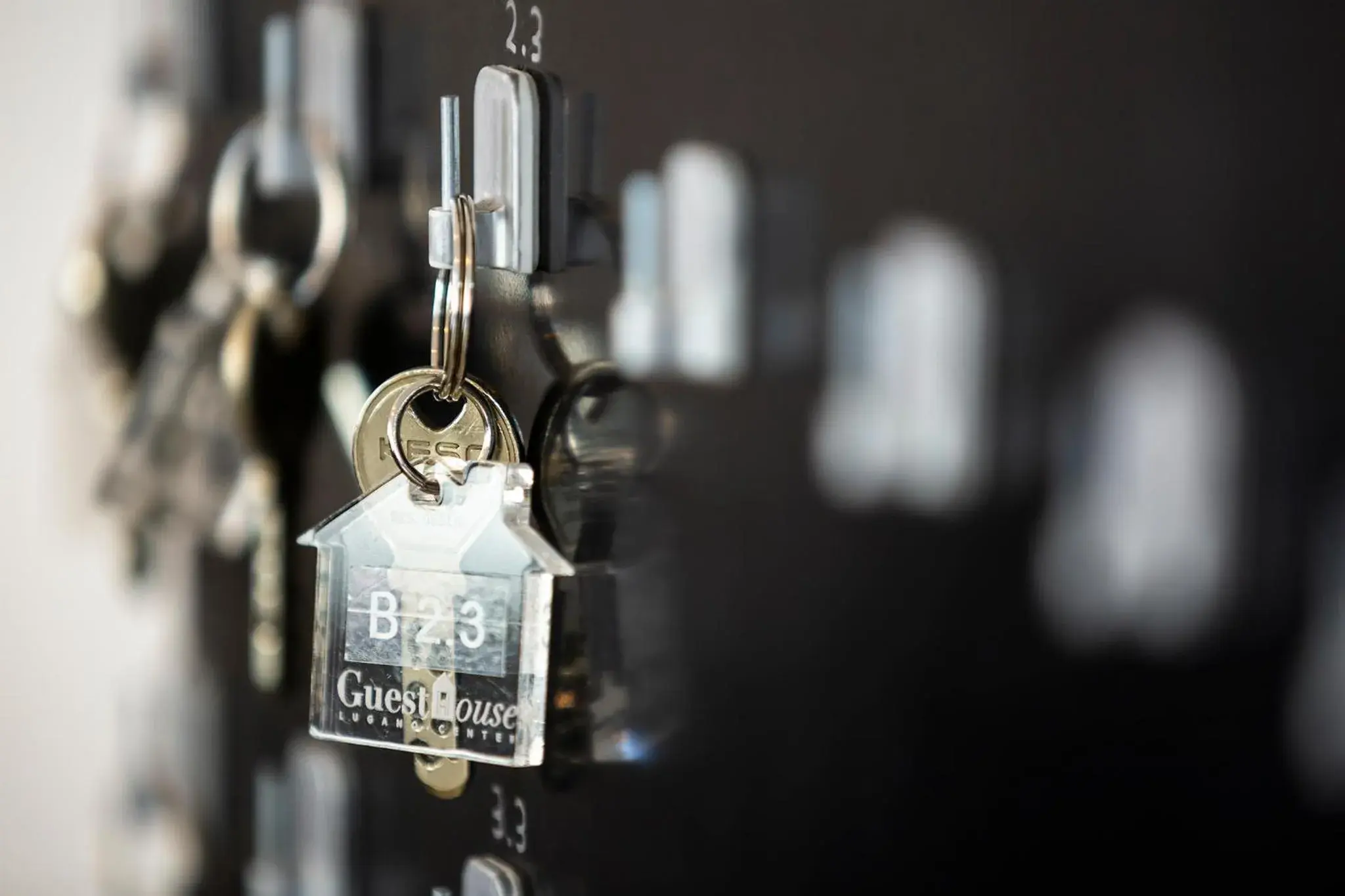 GuestHouse Lugano Center by LR GuestHouse Lugano Center by LR