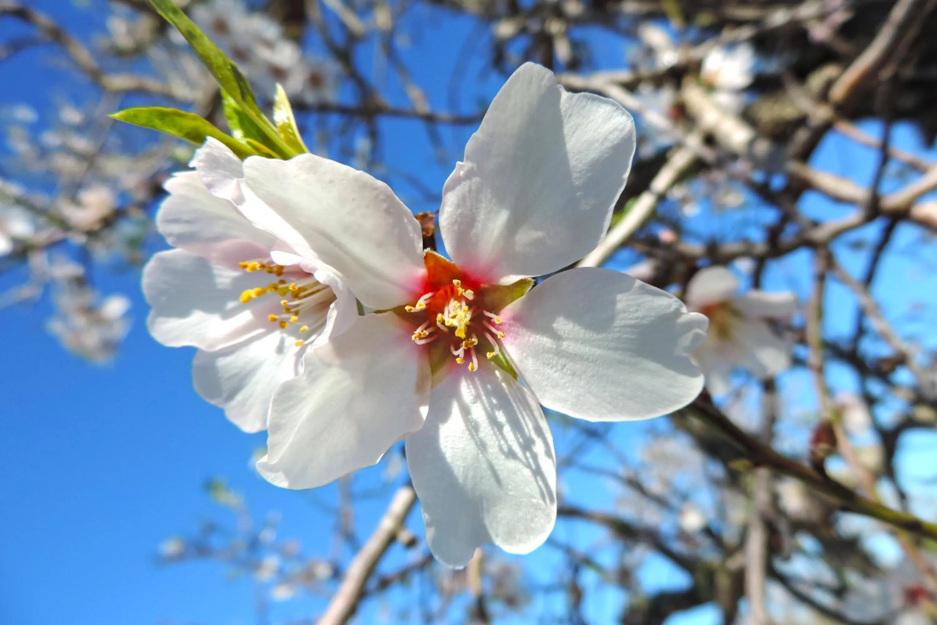 Nearby landmark in Marblau Mallorca