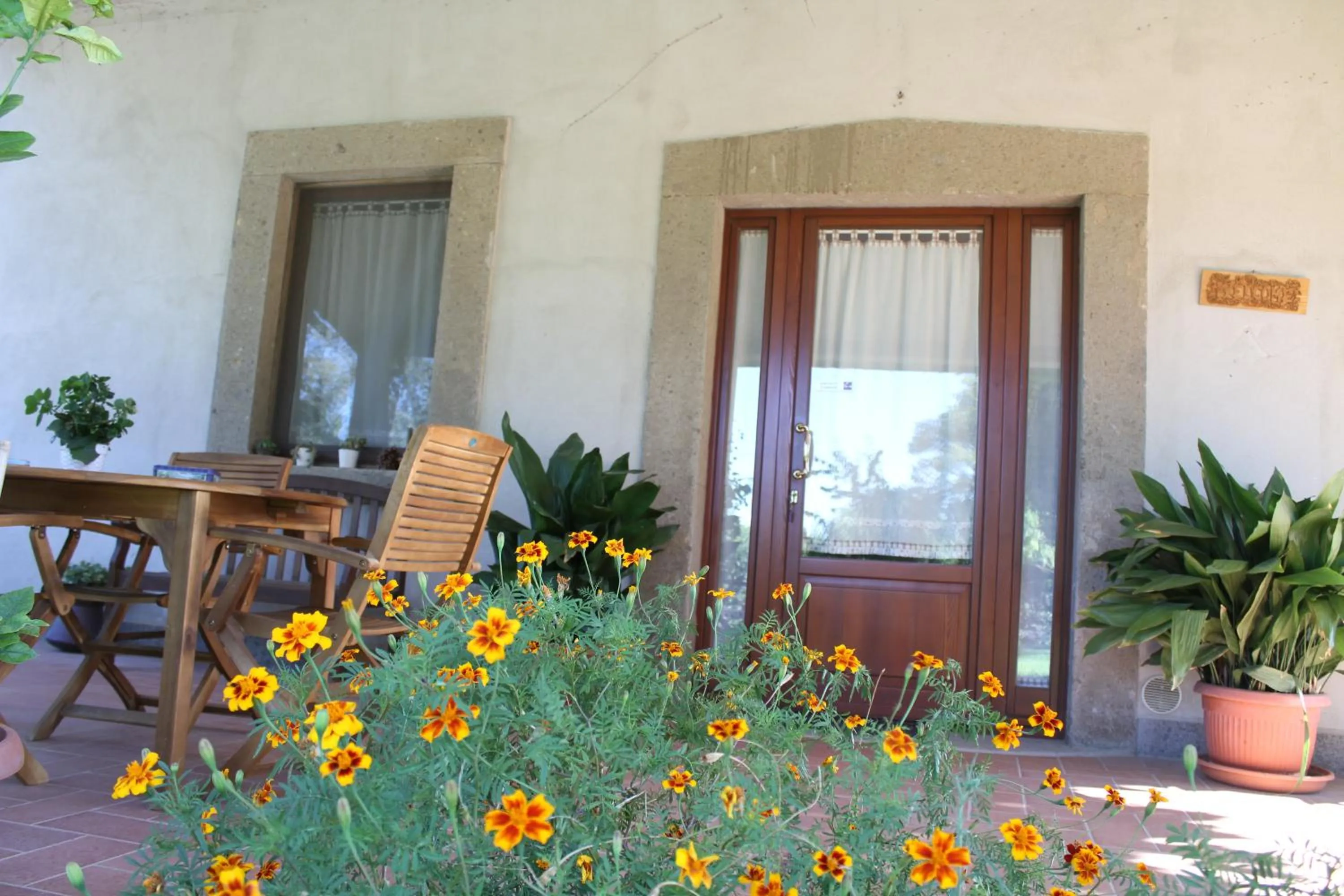 Patio in Vecchio olmo