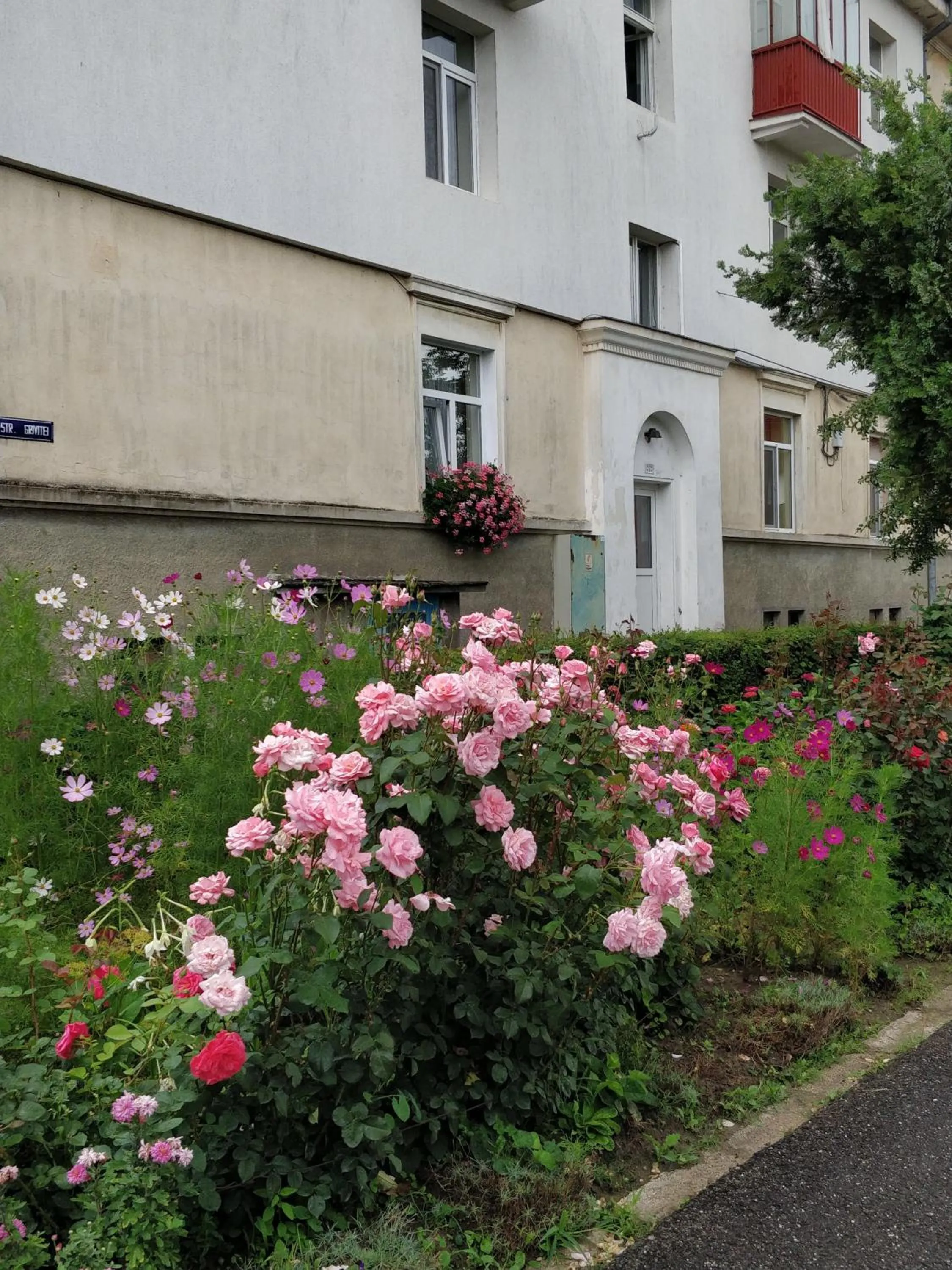 Facade/entrance in Teo's Flat
