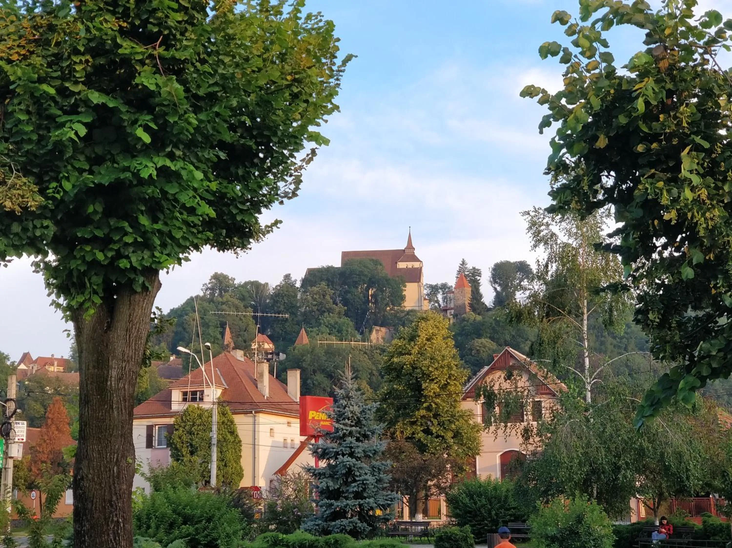 Nearby landmark in Teo's Flat