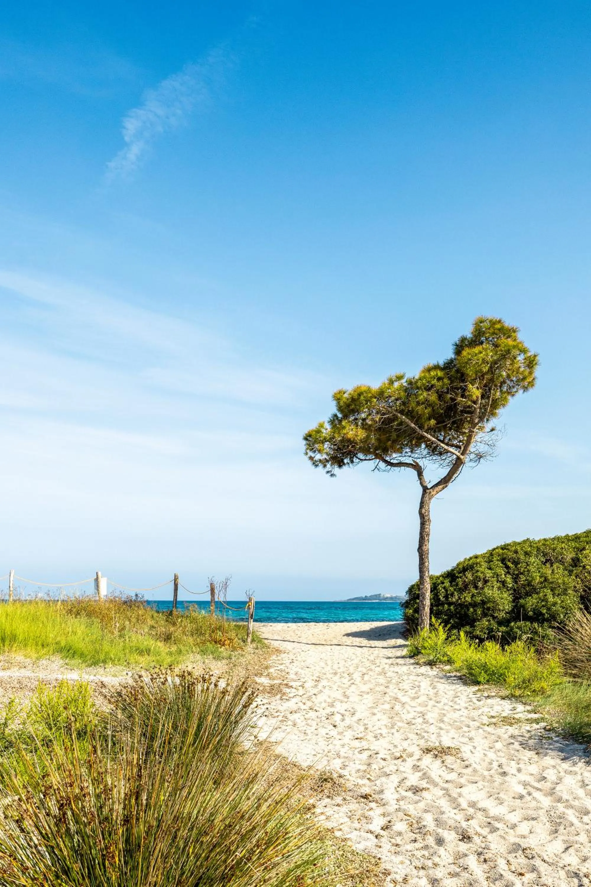 Natural landscape in MClub Budoni