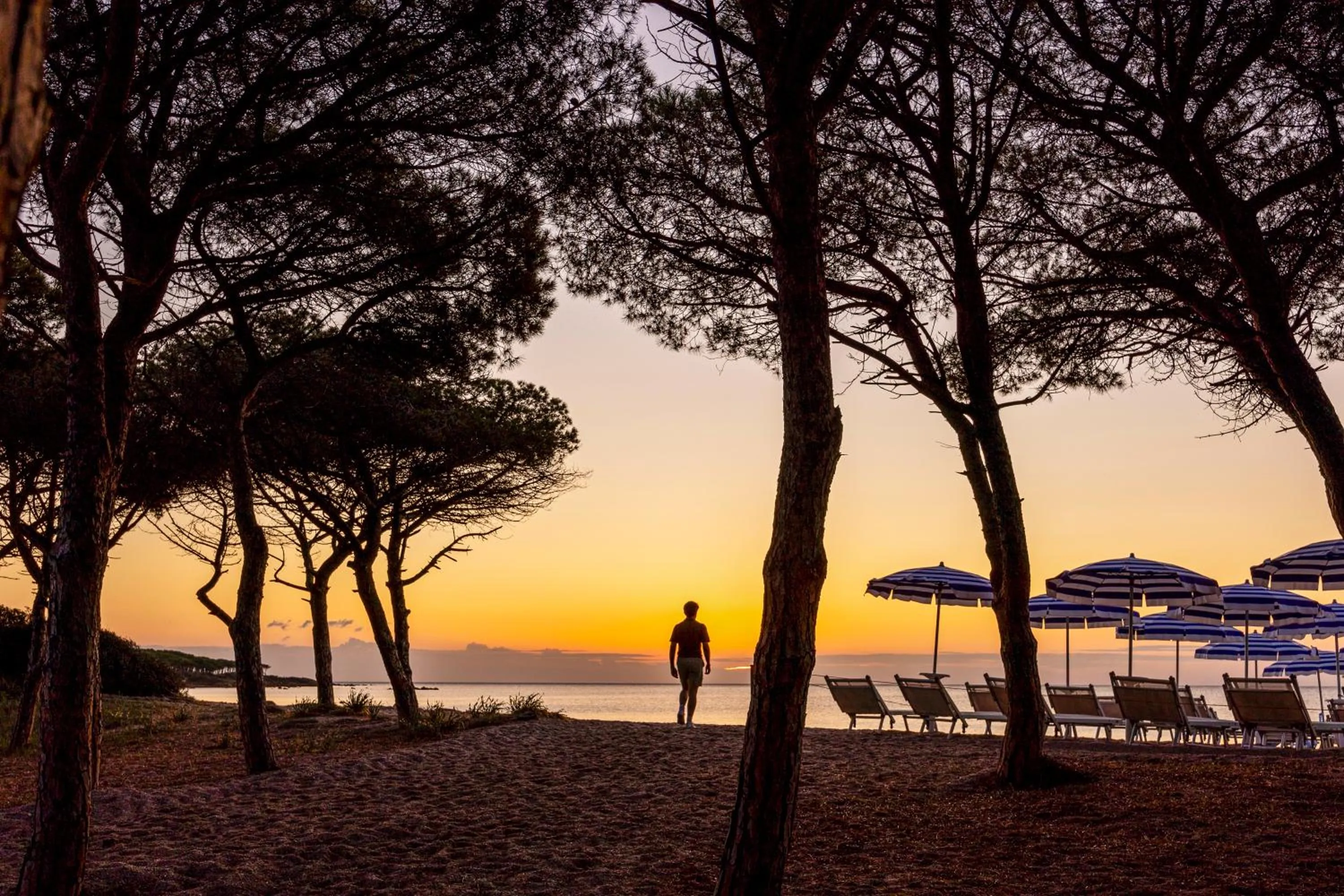 Beach in MClub Budoni