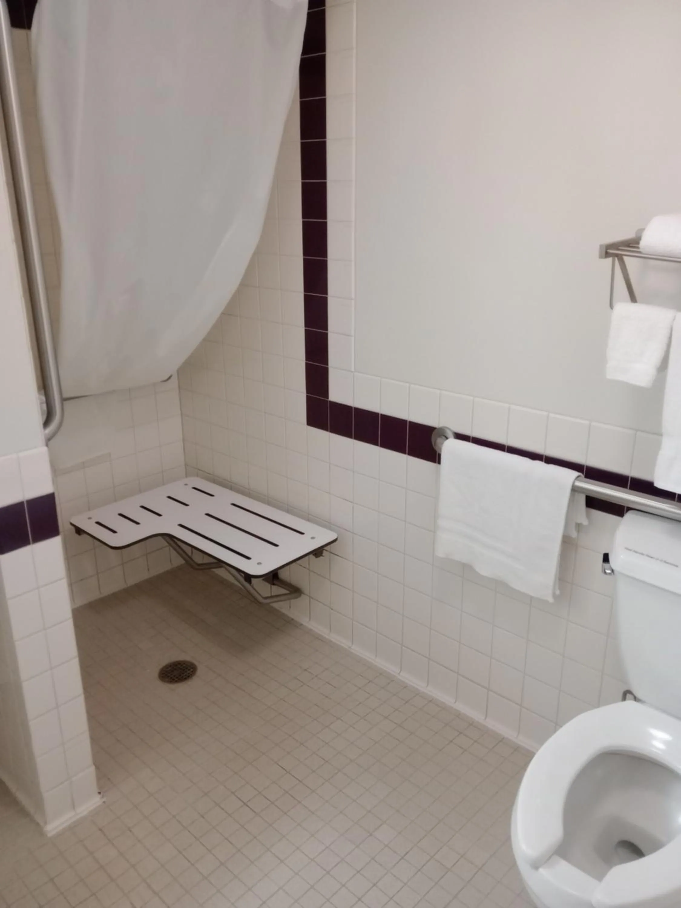 Bathroom in FairBridge Inn & Suites Thorp