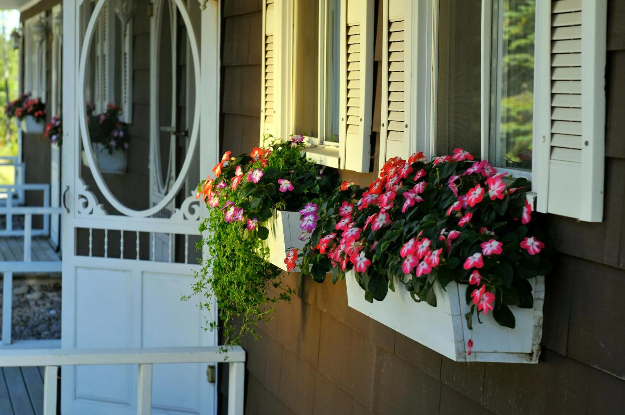 Balcony/Terrace in Silver Dart Lodge