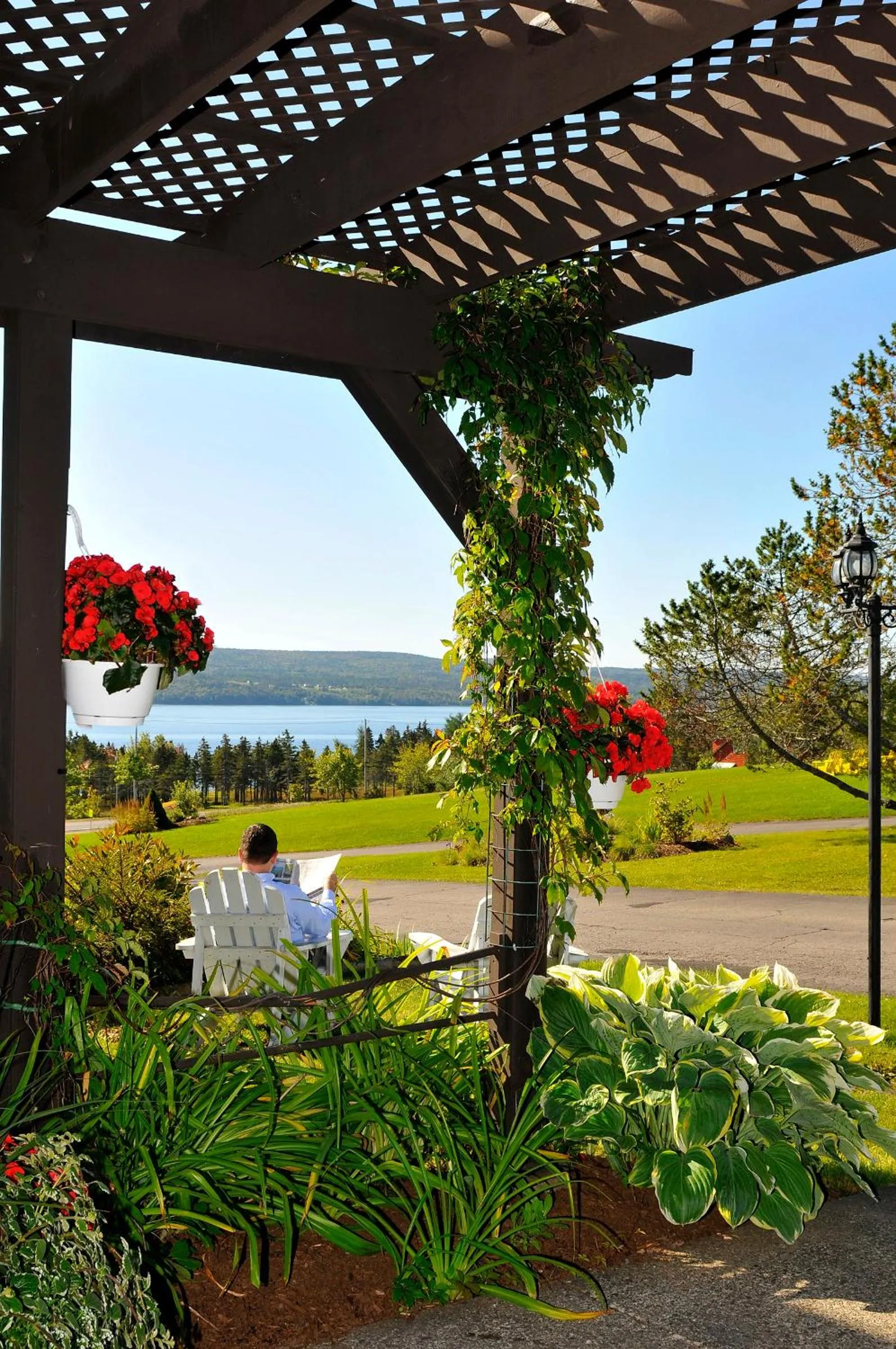 Area and facilities in Silver Dart Lodge