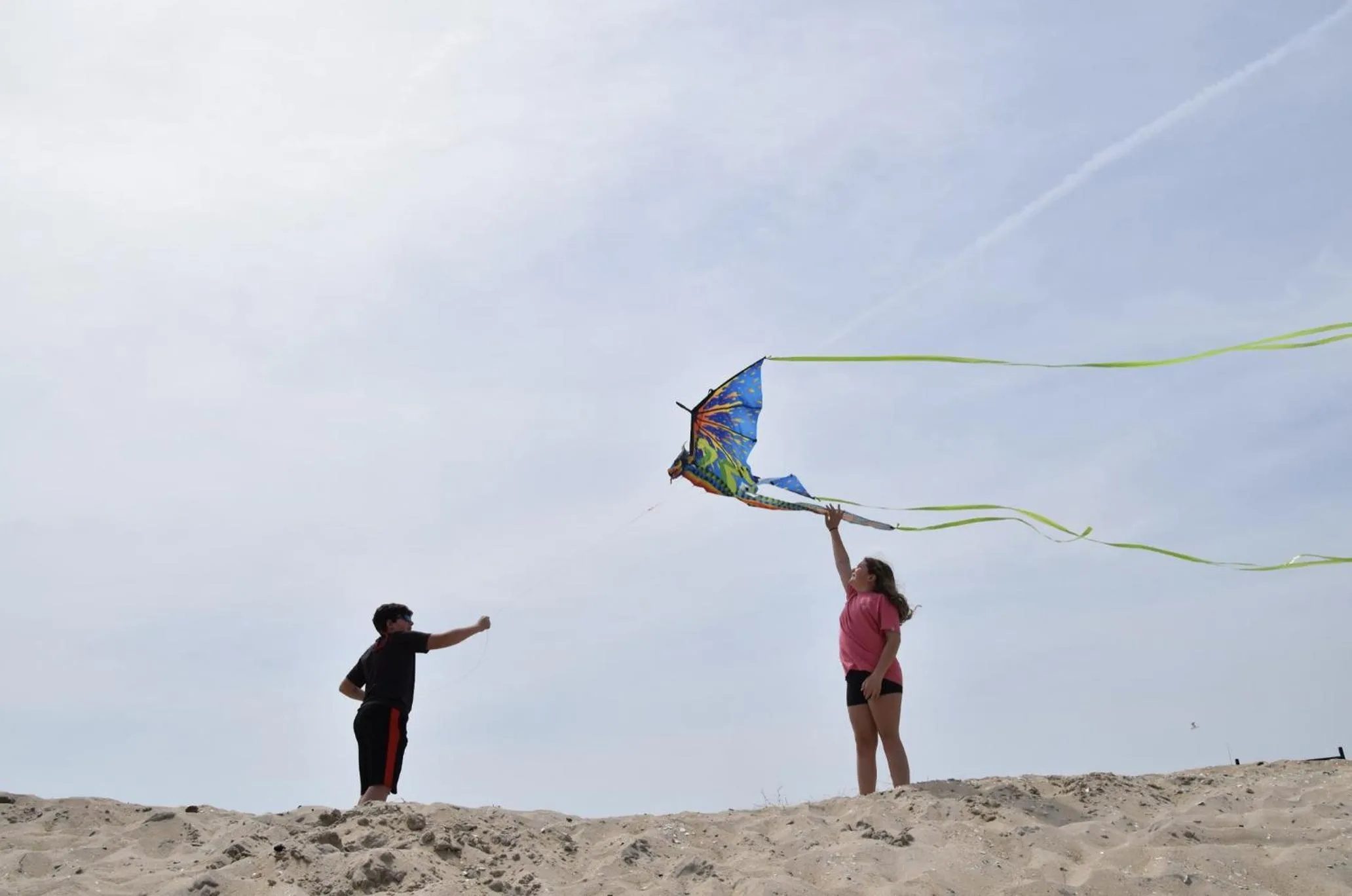Day in Key West Cottages