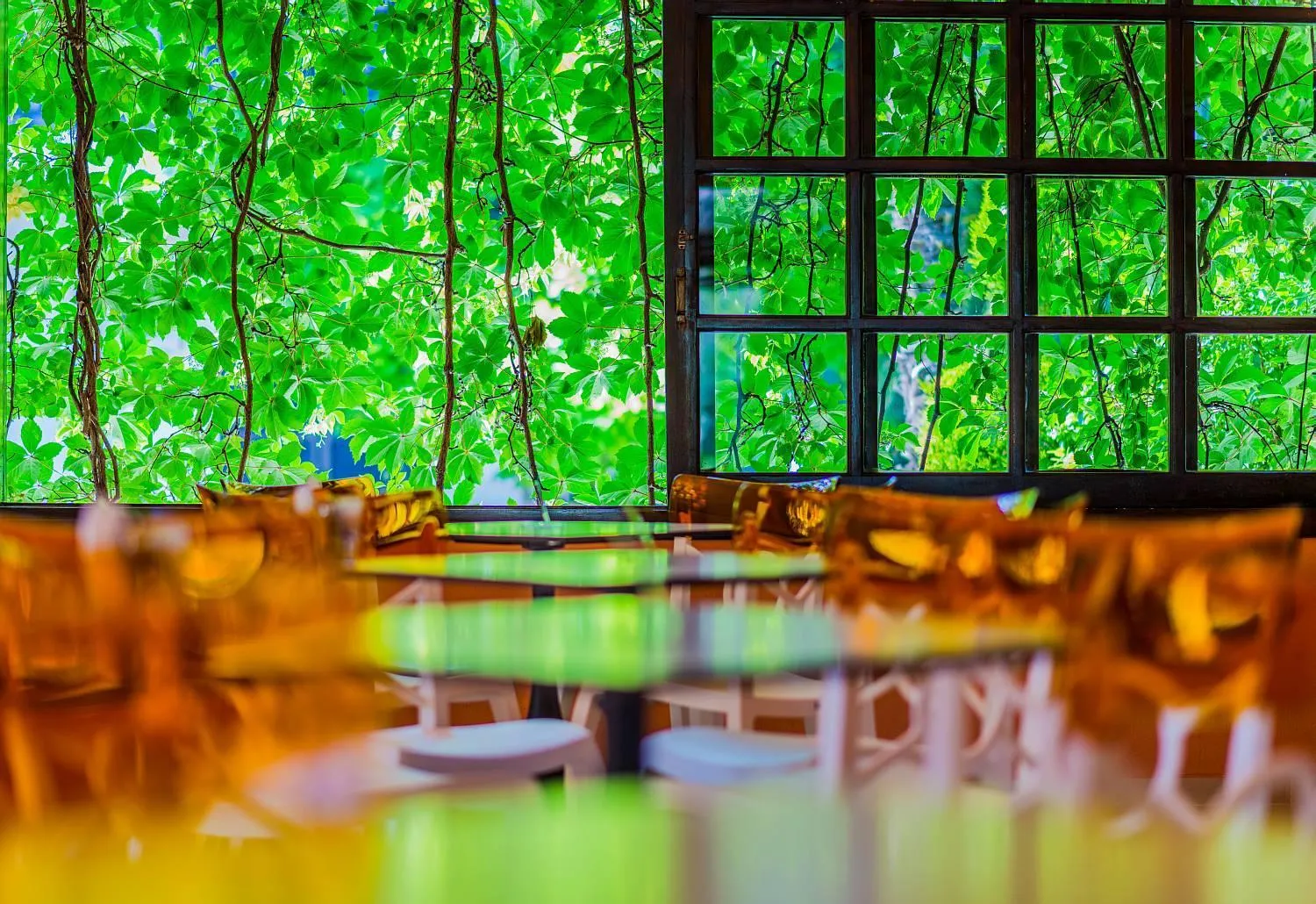 Restaurant/places to eat in Philoxenia Hotel