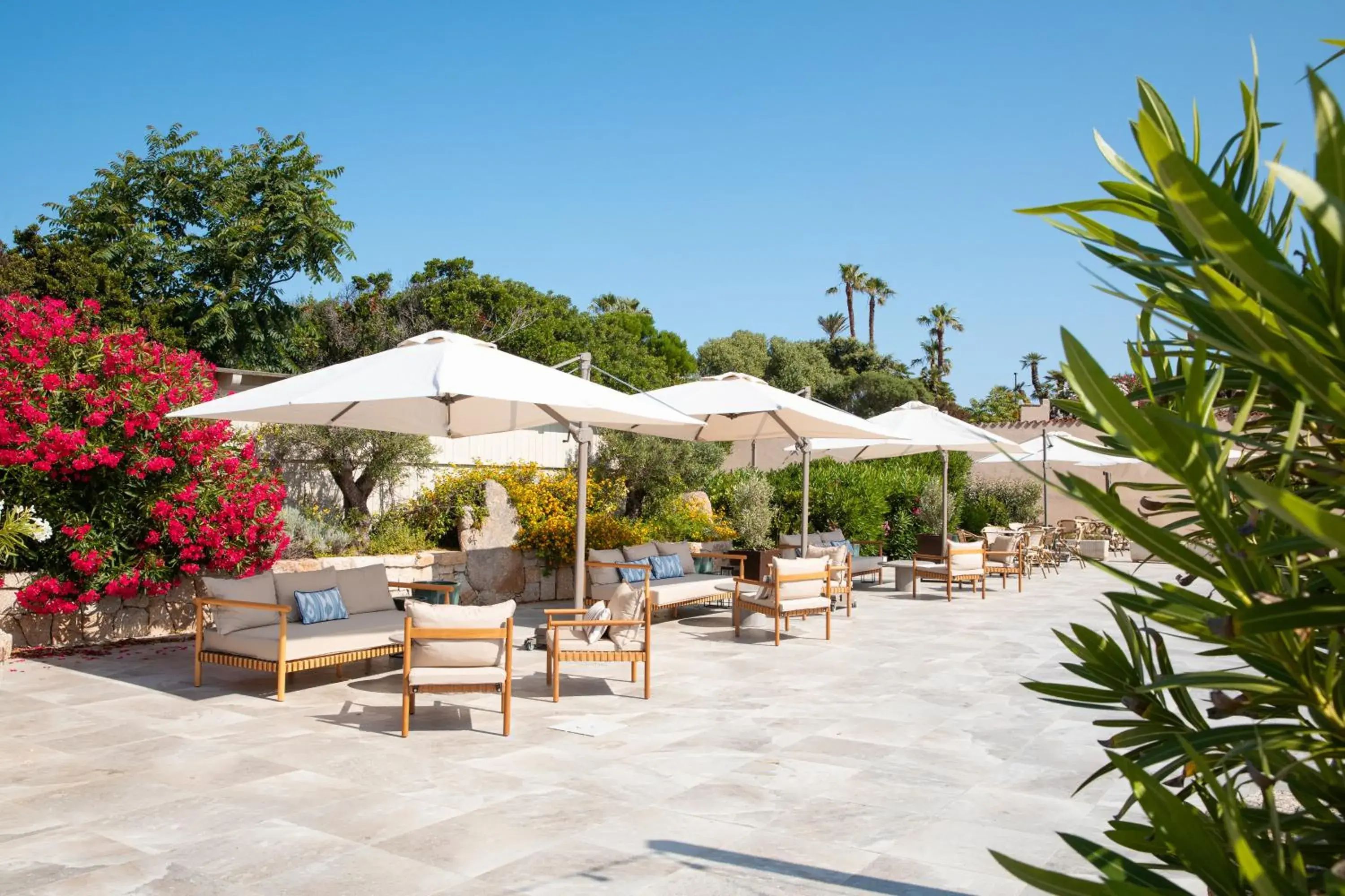 Lounge or bar in Mangia's Sardinia Resort Lounge or bar in Mangia's Sardinia Resort