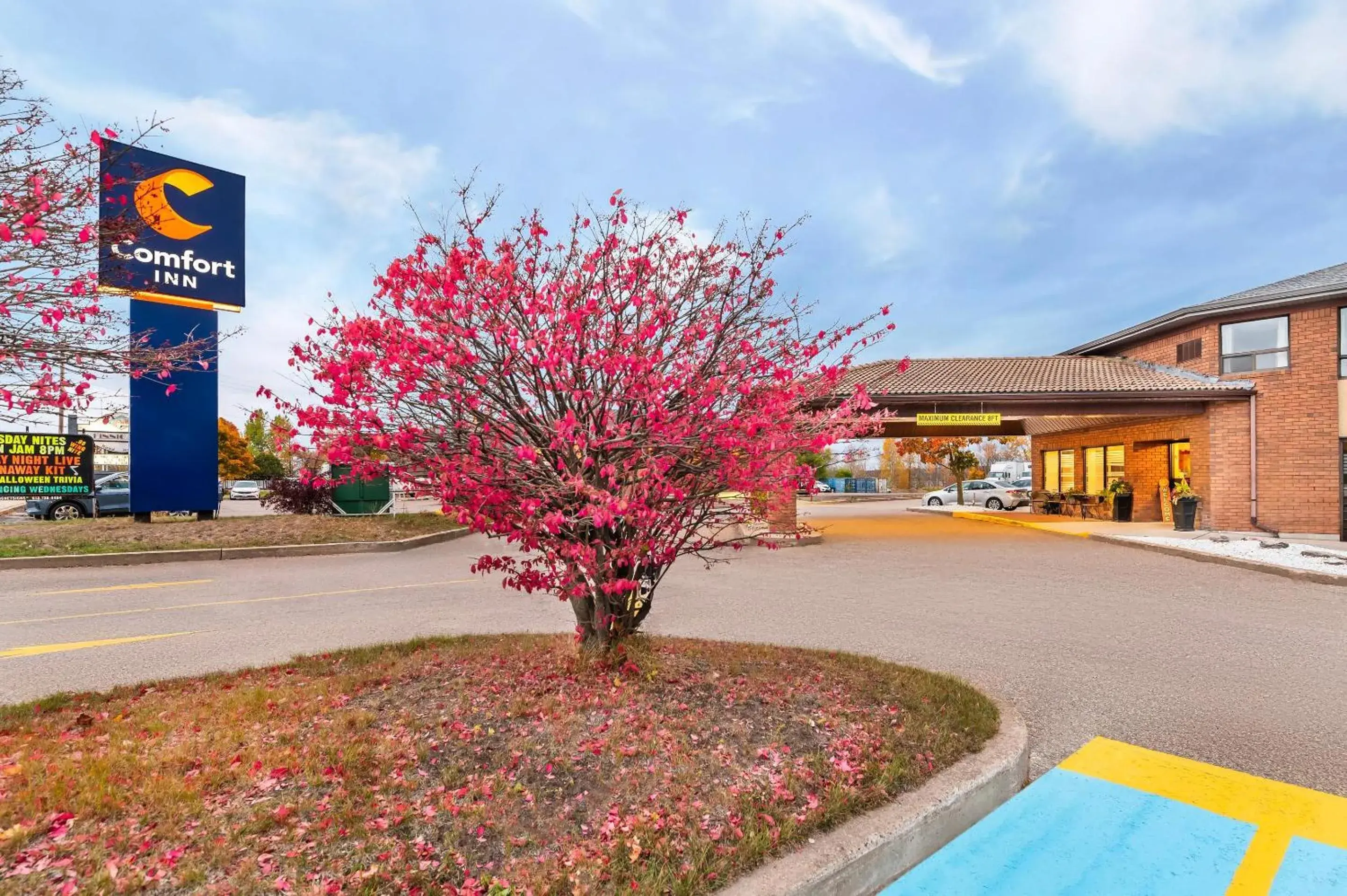 Property building in Comfort Inn Property building in Comfort Inn