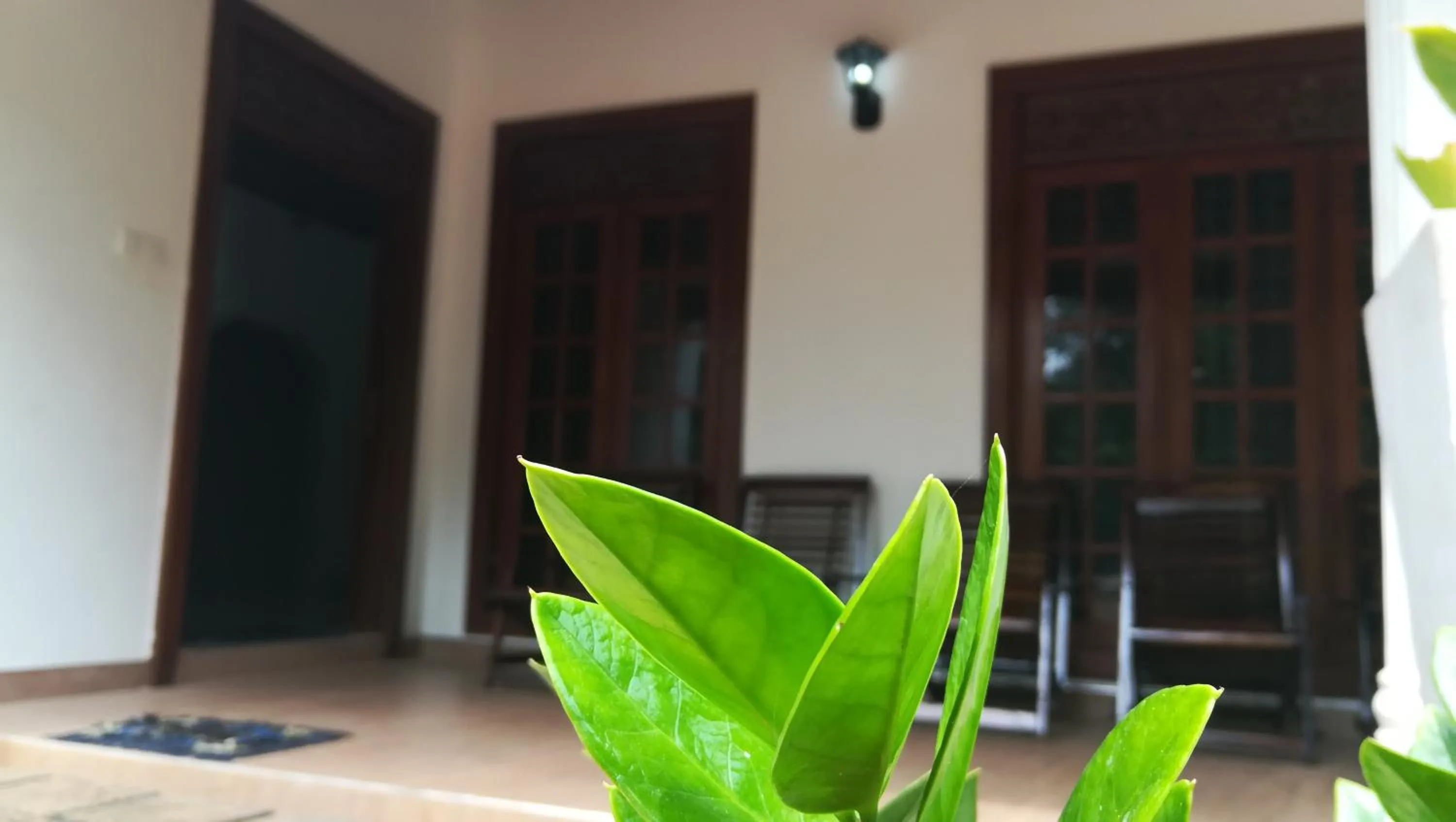 Lobby or reception in Tamarind Tamarind Resort, Tourist Board Approved