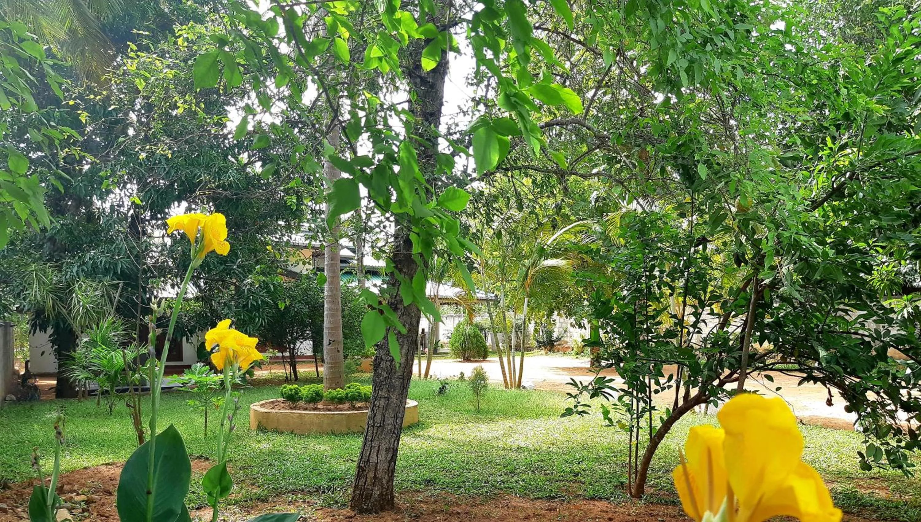 Bird's eye view in Tamarind Tamarind Resort, Tourist Board Approved