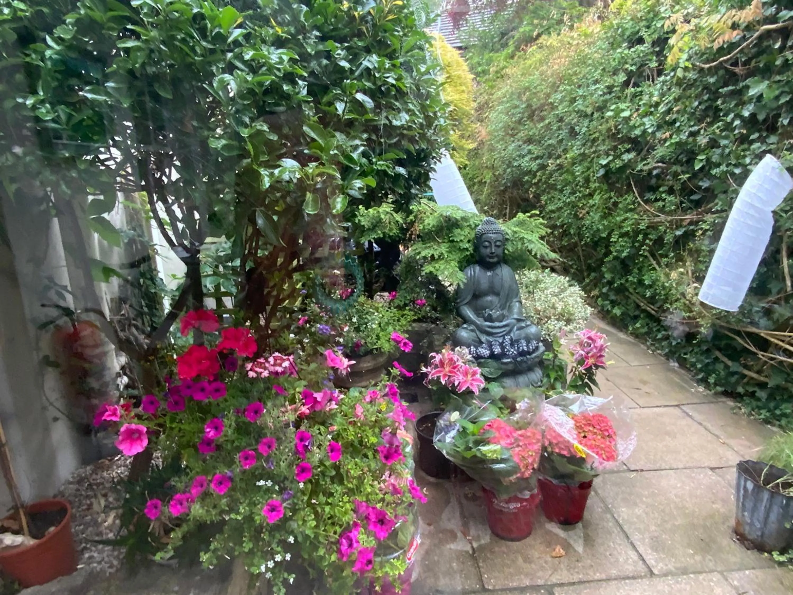 Property building in The Casterbridge