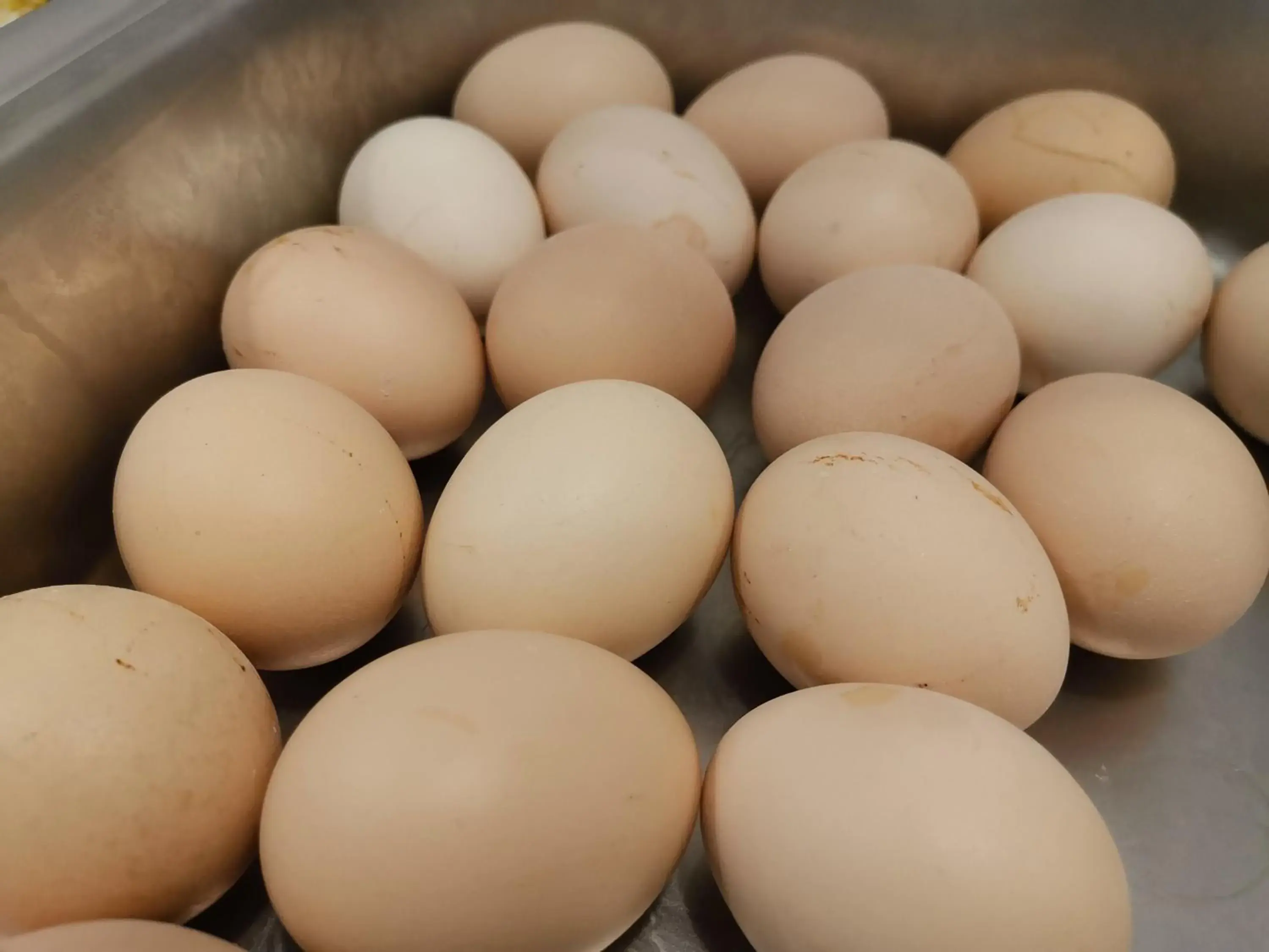 Zhongshan Bafei Hotel Zhongshan Bafei Hotel