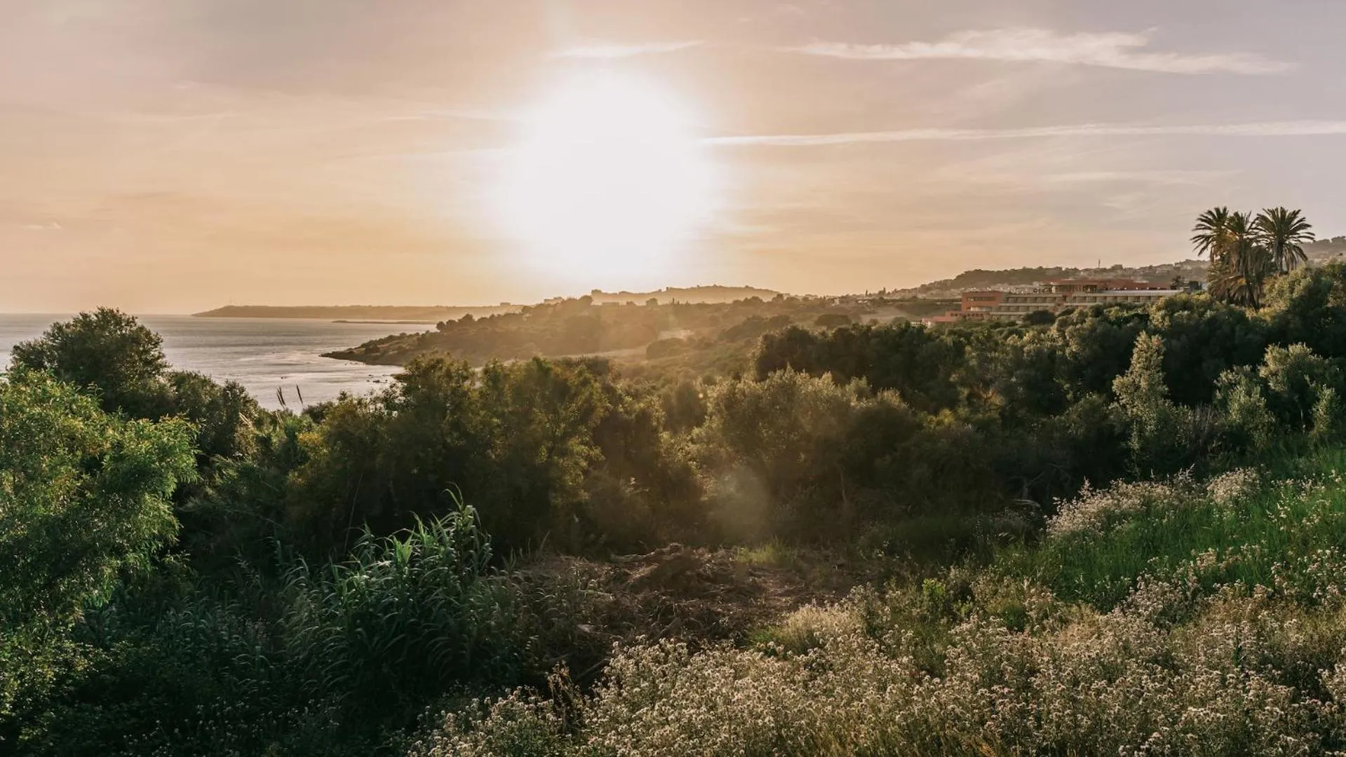 Natural landscape in MClub Cala Regina