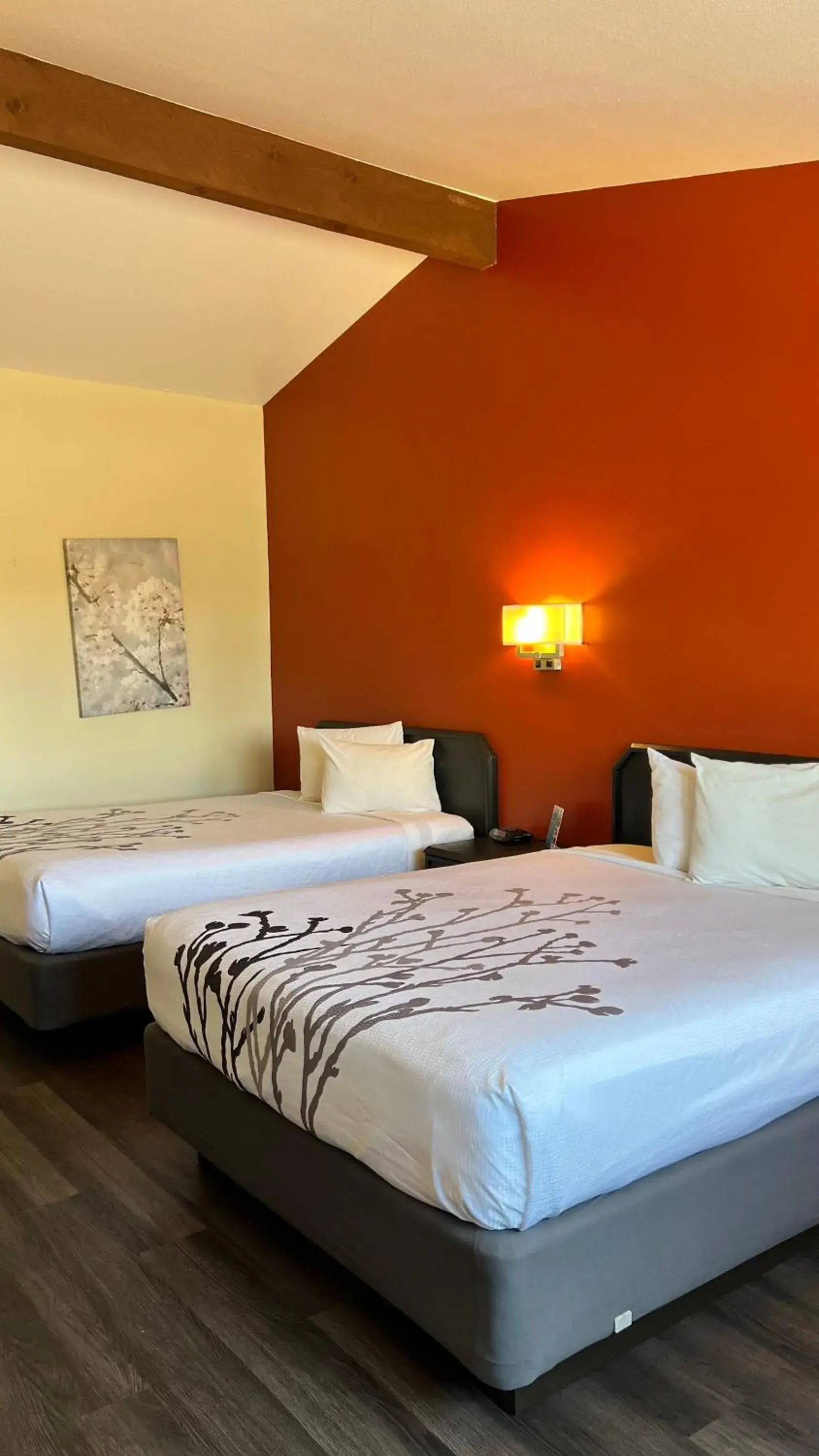 Queen Suite in Black Canyon Motel Queen Suite in Black Canyon Motel