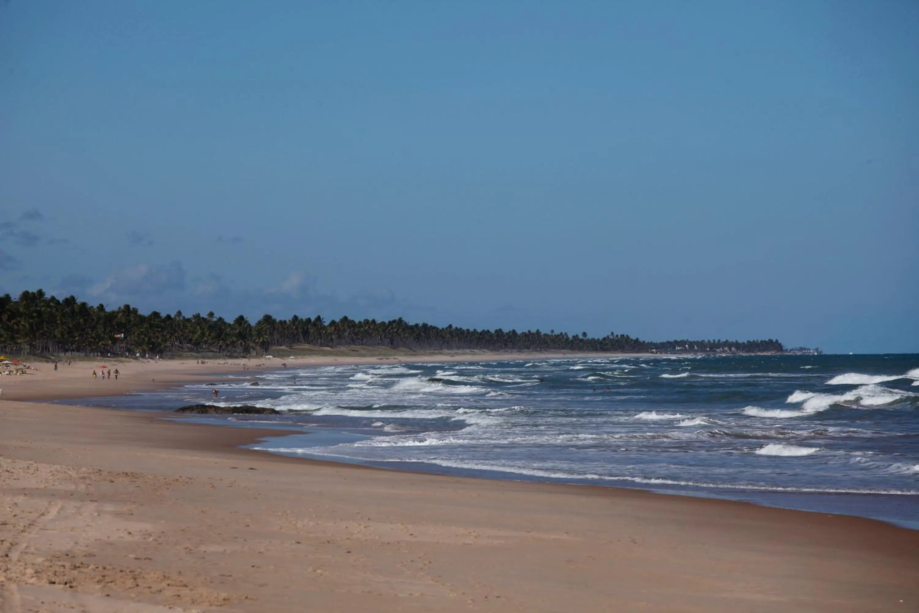 Area and facilities in Resort Costa Dos Coqueiros