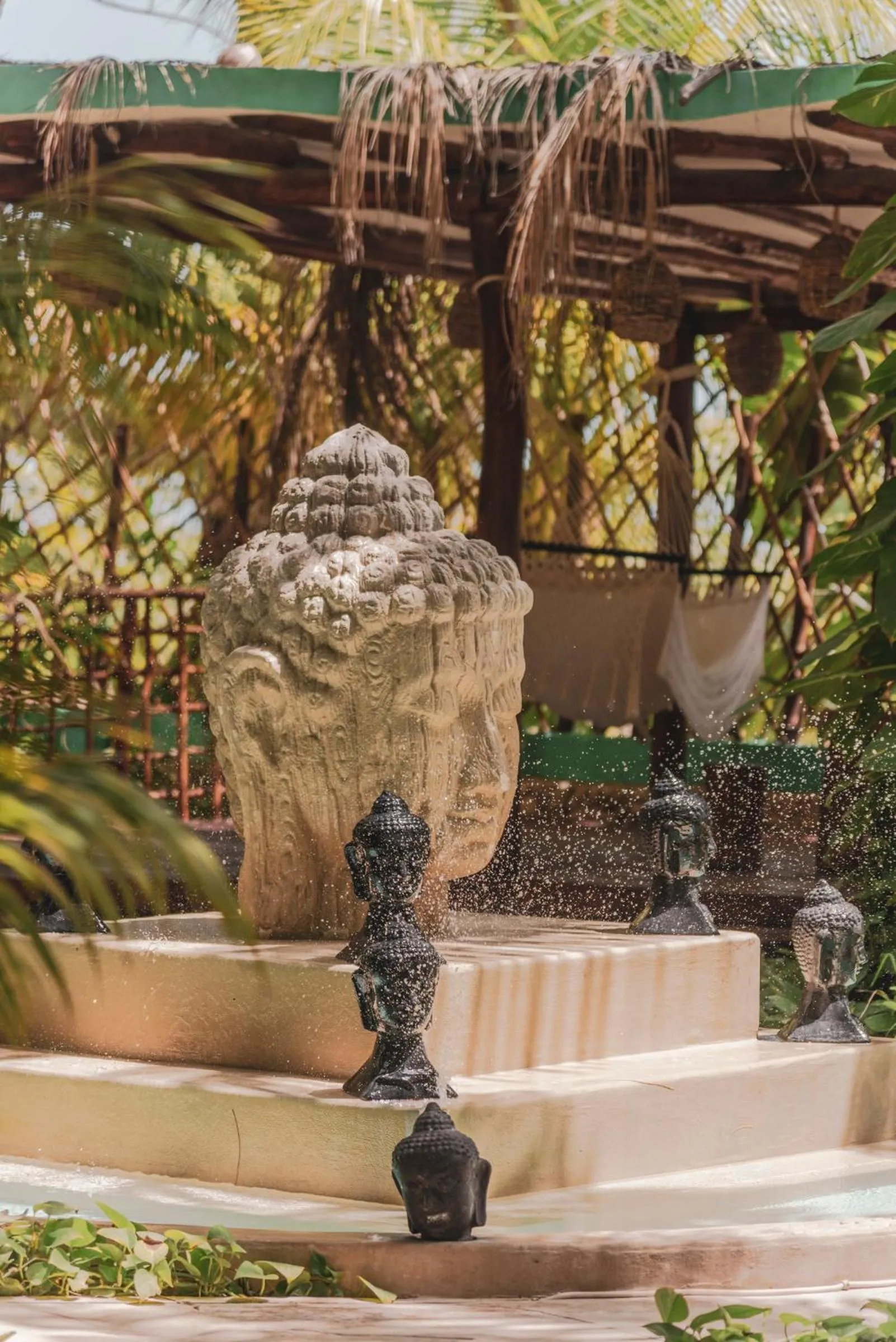 Garden in Hotel Villas Tiburon Adults Only