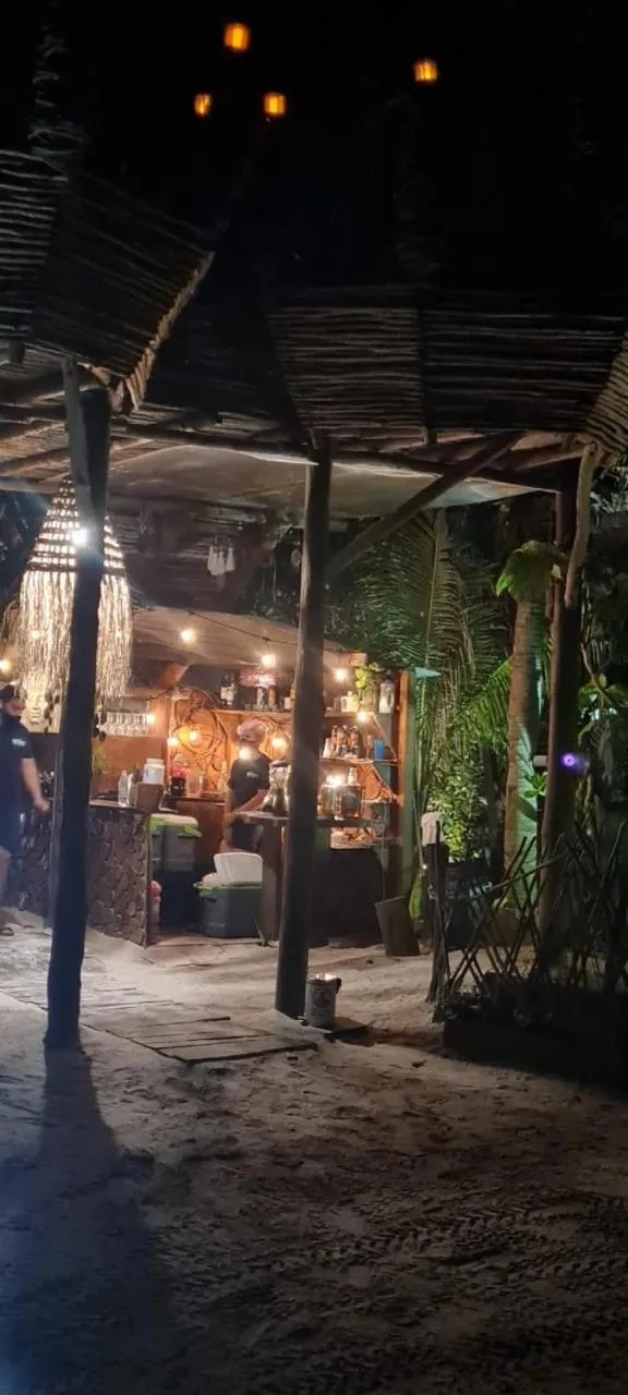 Lounge or bar in Hotel Villas Tiburon Adults Only