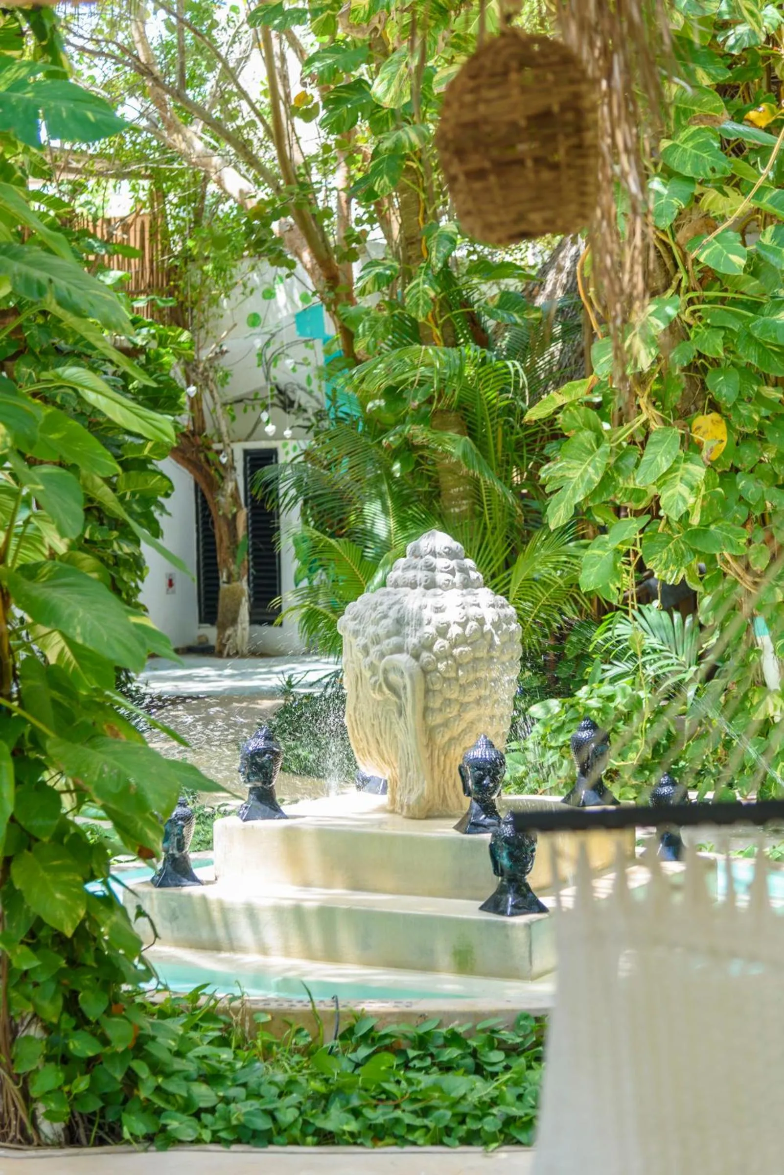 Garden view in Hotel Villas Tiburon Adults Only