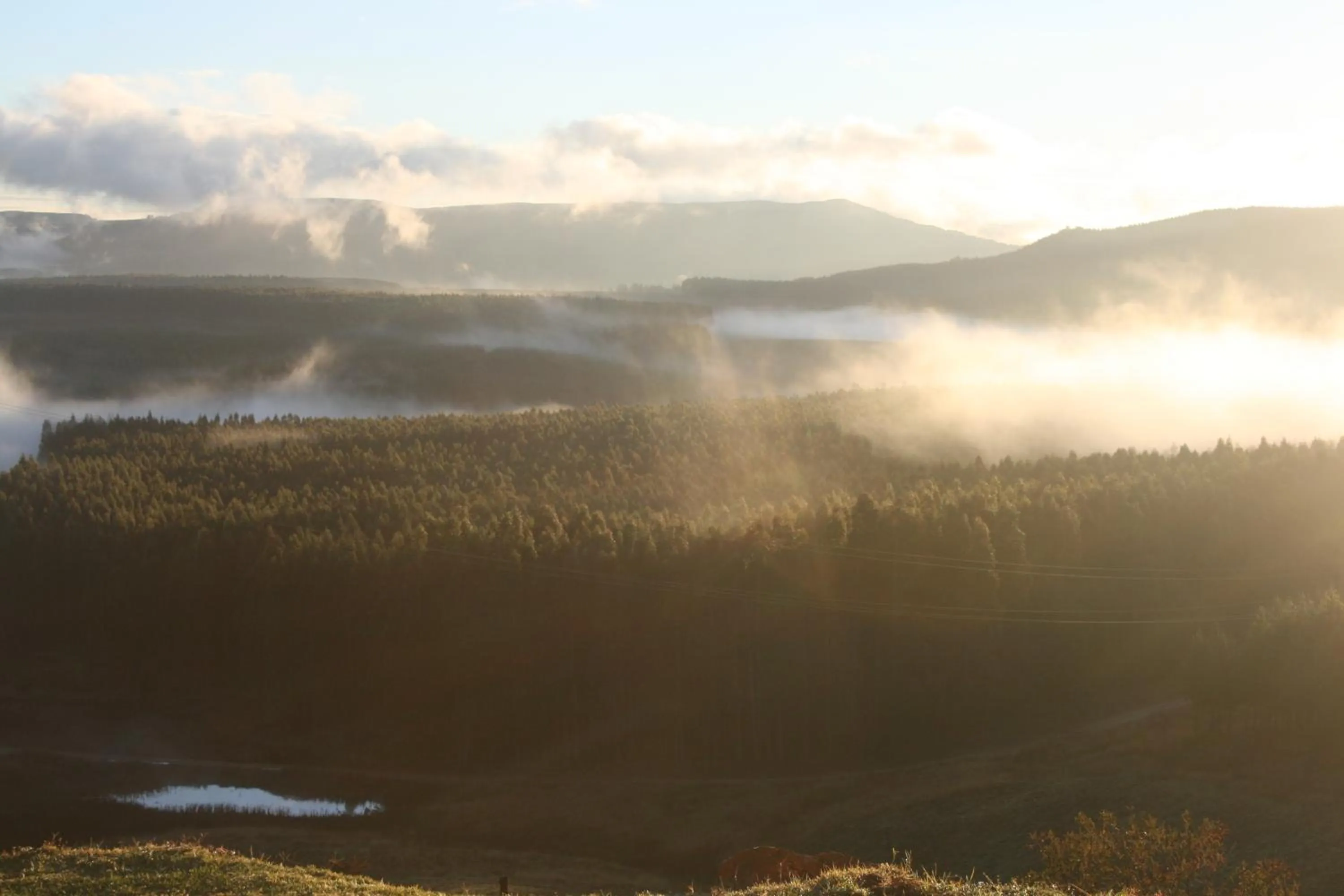 Mountain view in Curry's Post Bed & Breakfast