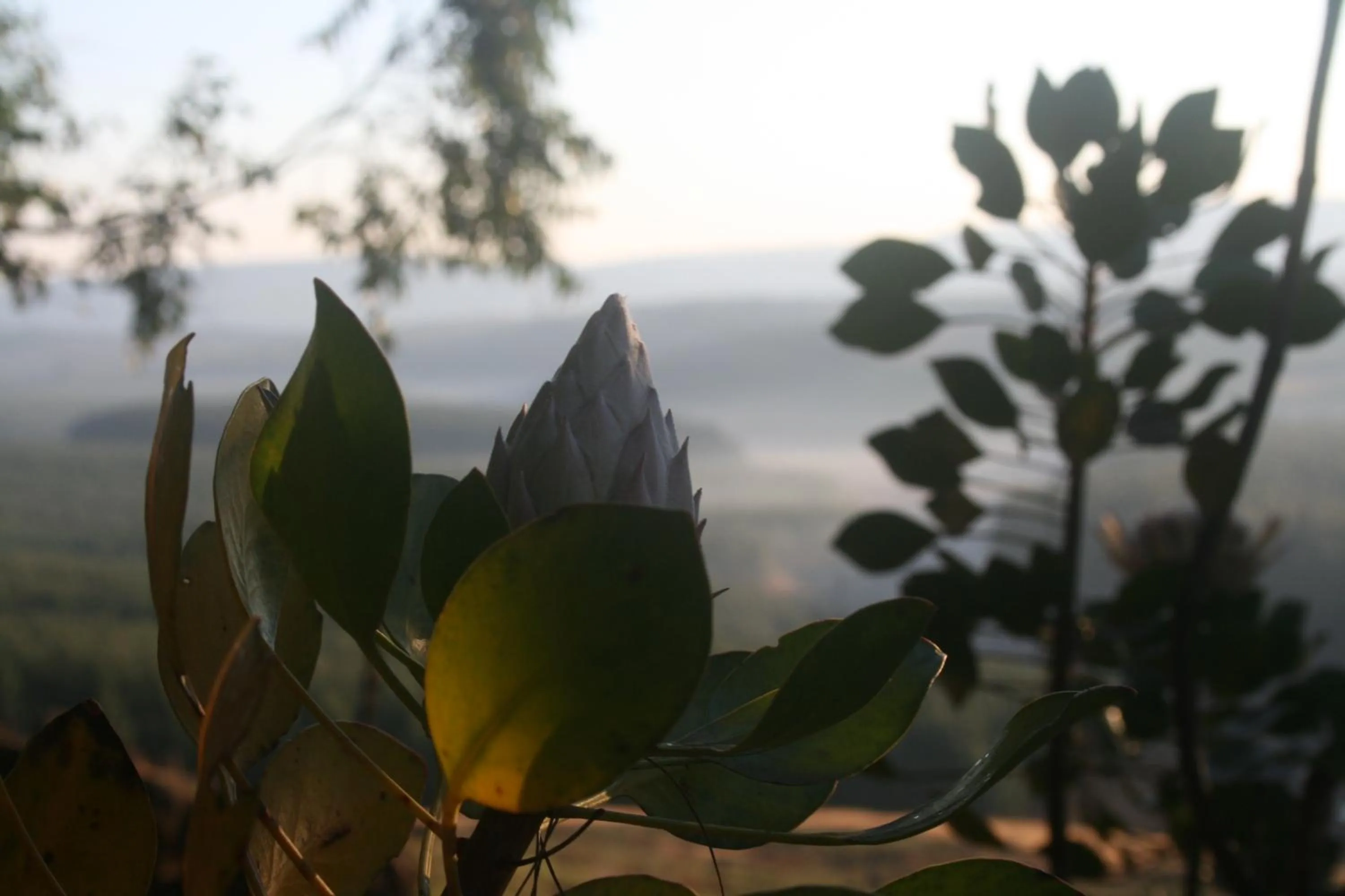Decorative detail in Curry's Post Bed & Breakfast