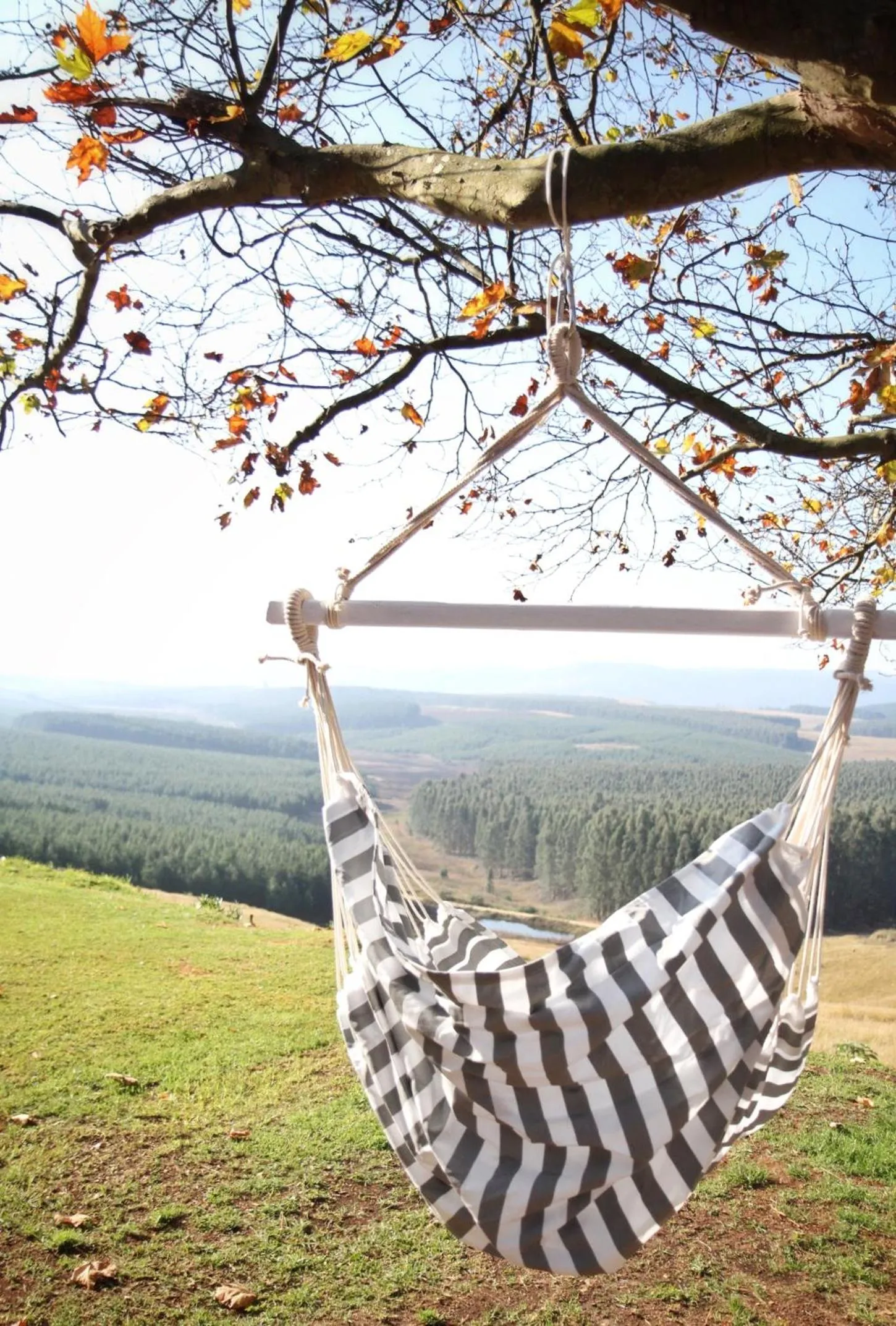 Mountain view in Curry's Post Bed & Breakfast