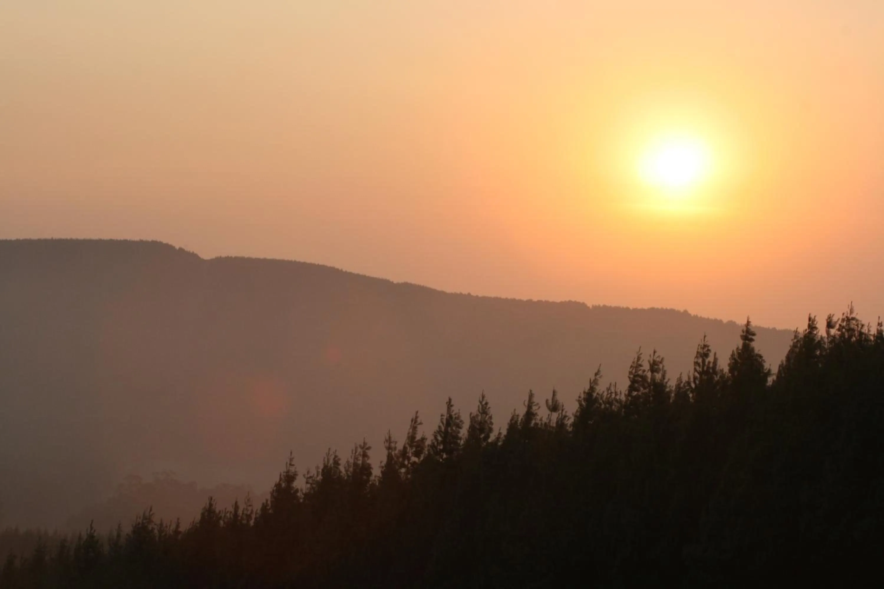 Mountain view in Curry's Post Bed & Breakfast