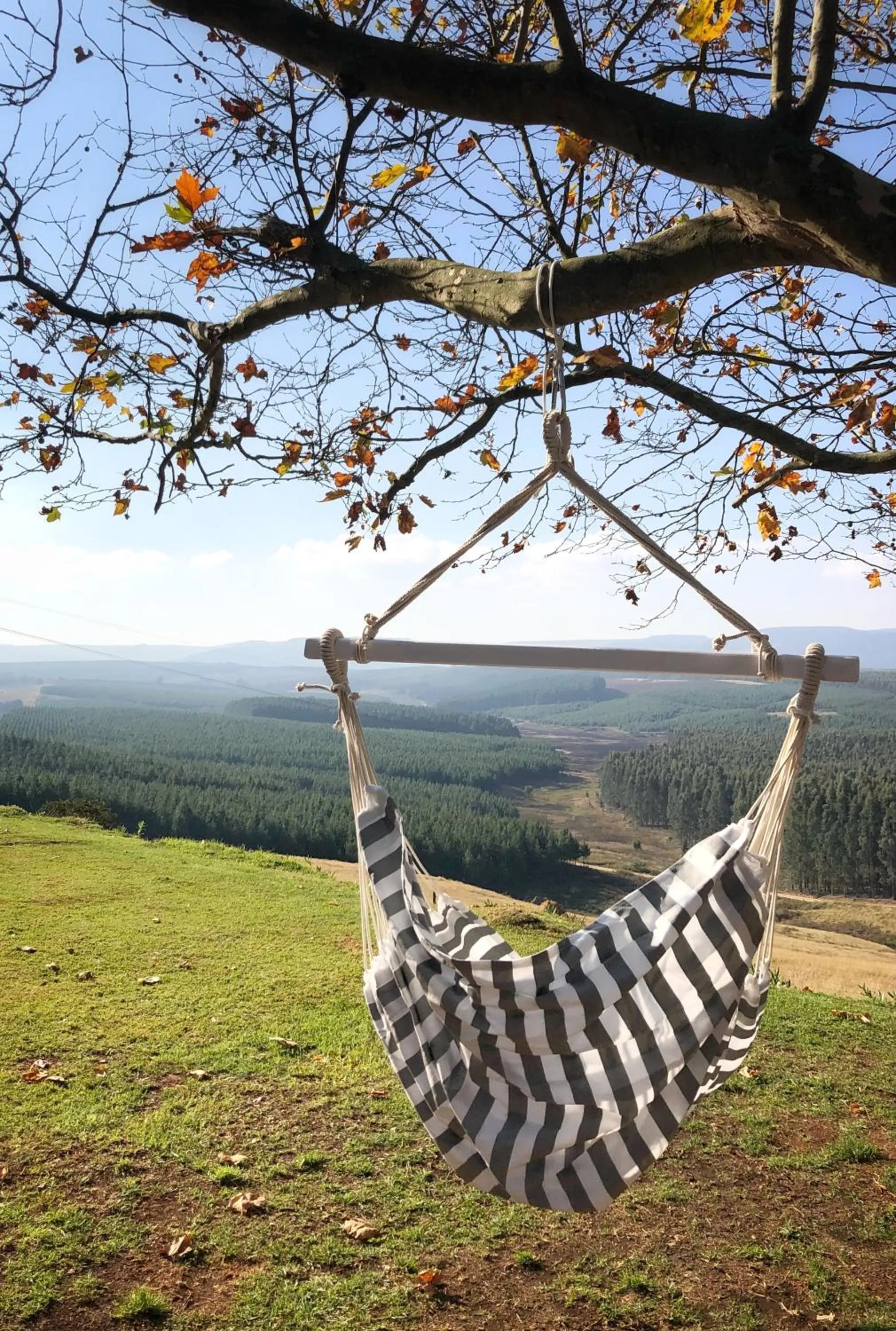 Decorative detail in Curry's Post Bed & Breakfast
