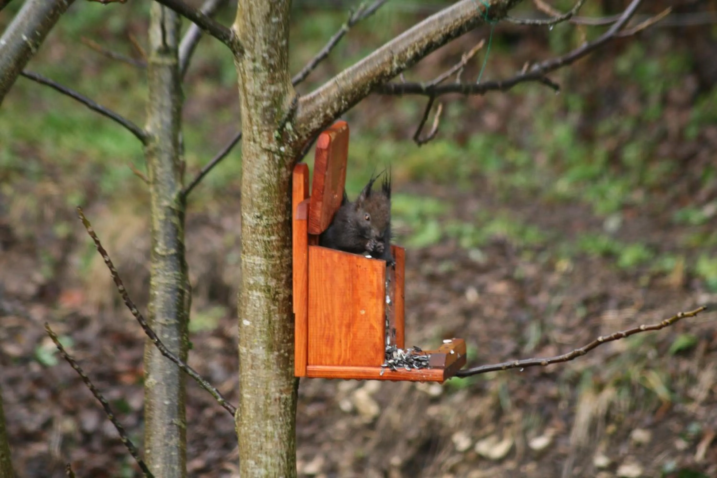 Animals in B&B Arlesbrunnen